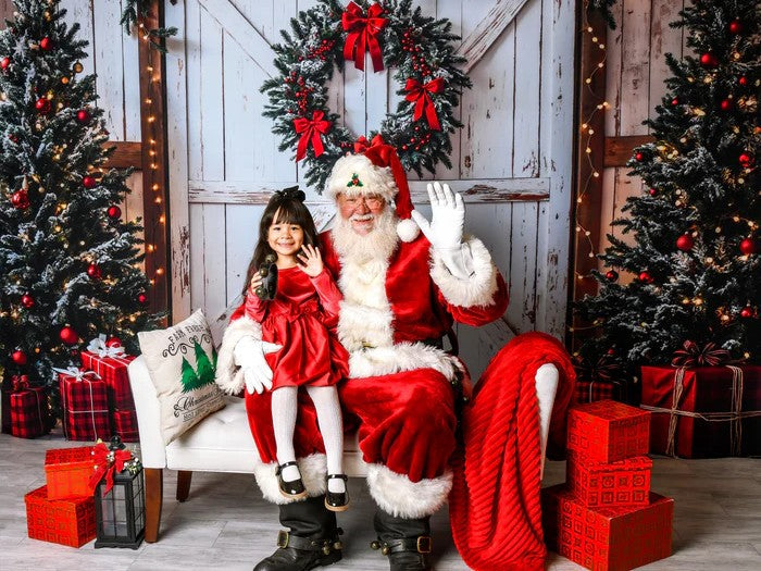 Christmas Fleece Backdrop