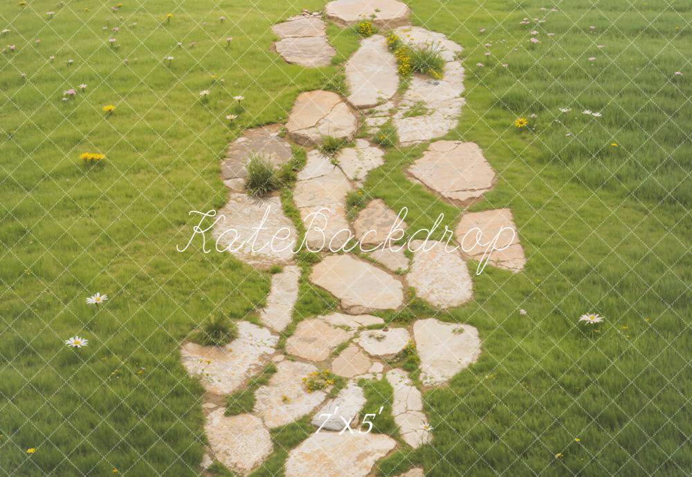 Kate Stone Path Grass Daisies Backdrop Designed by Emetselch