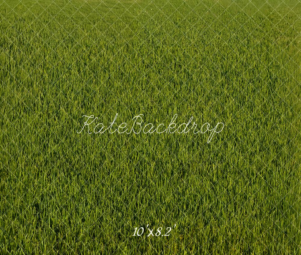 Kate Green Grass Texture Backdrop Designed by Emetselch