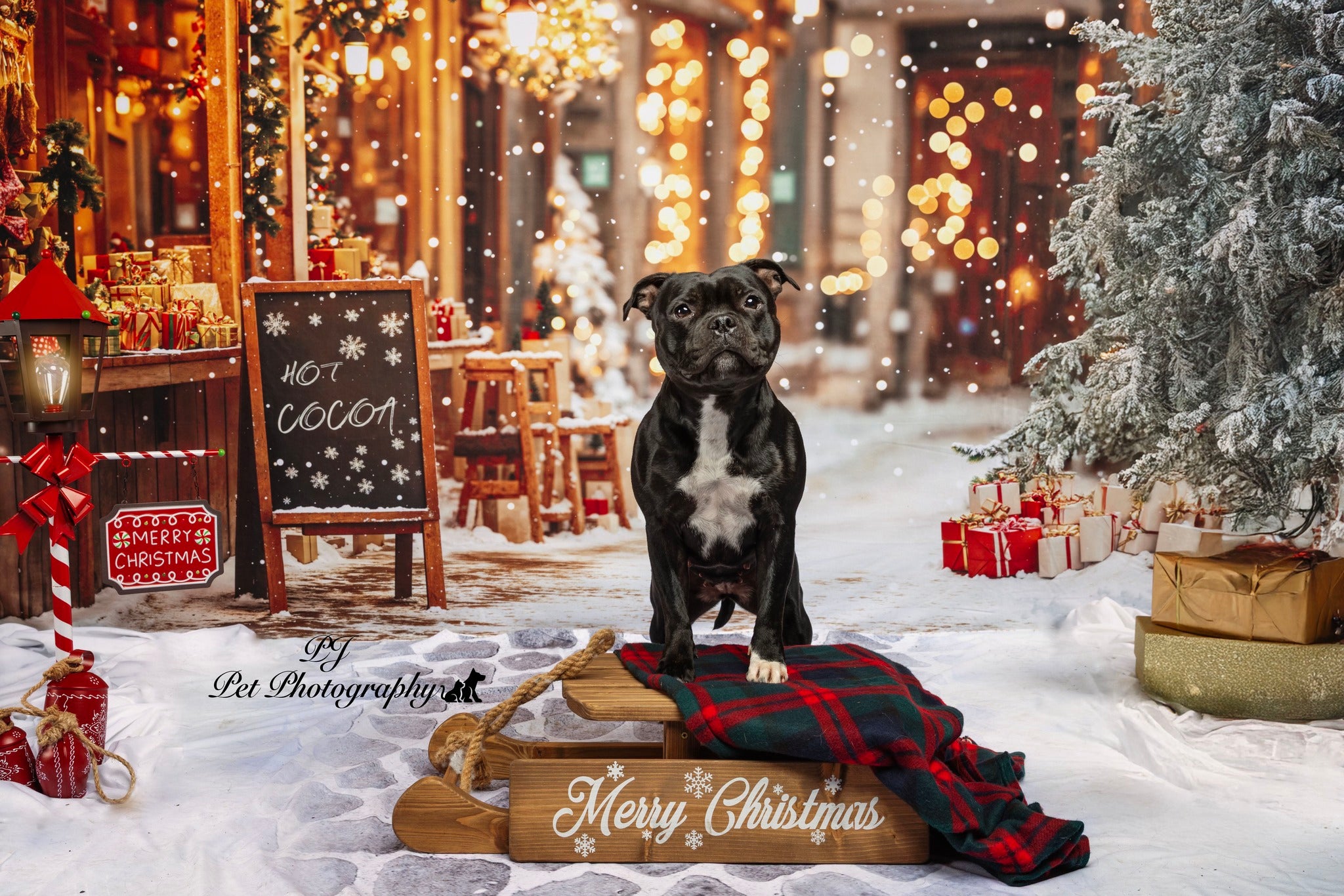 Kate Christmas Tree Street Hot Cocoa Shop Backdrop Designed by Emetselch