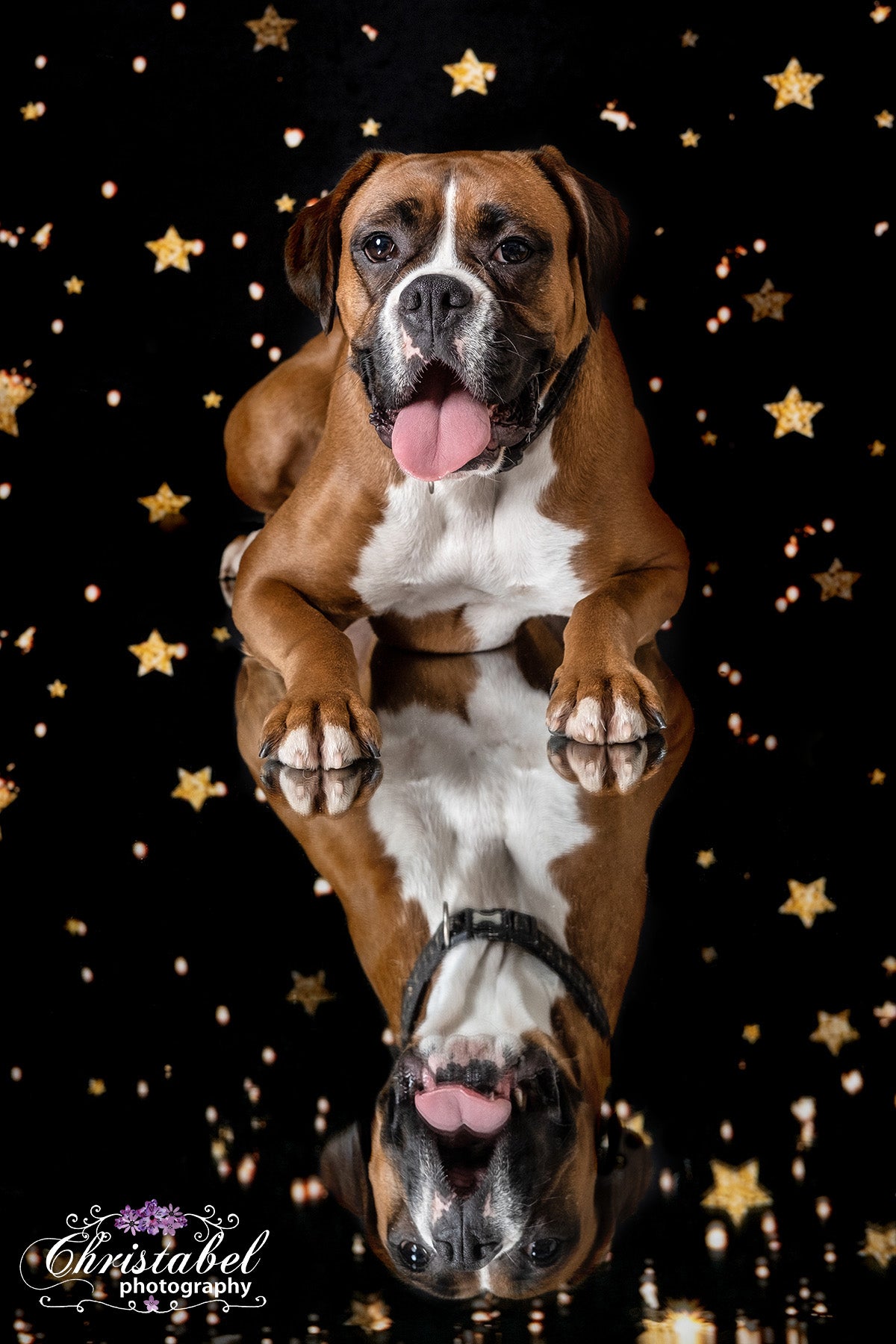 Kate Black Golden Stars Bokeh Children Backdrop Designed by Jerry_sina - Kate Backdrop AU