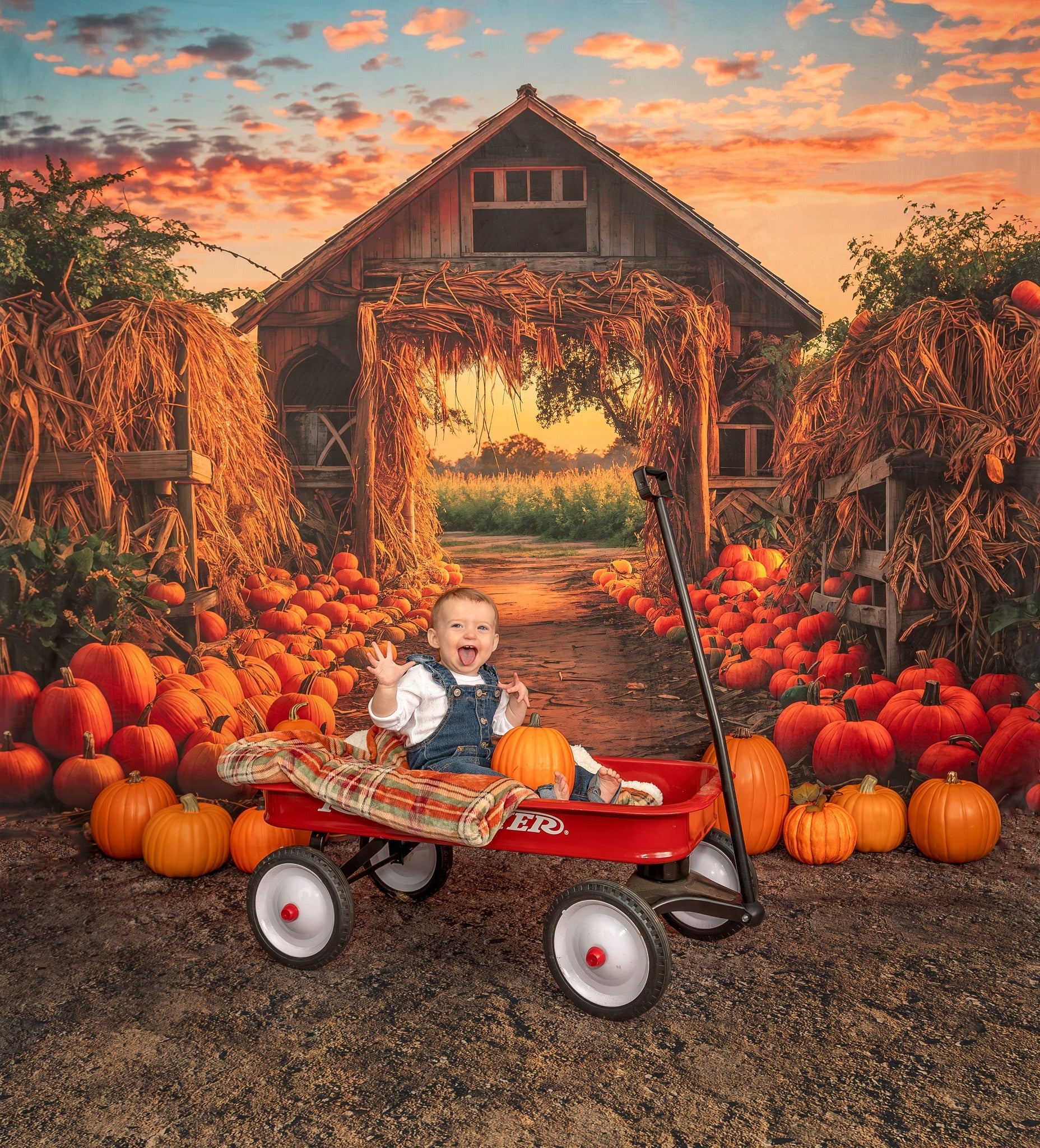 Kate Autumn Pumpkin Manor Backdrop +Brown Soil Floor Backdrop for Photography