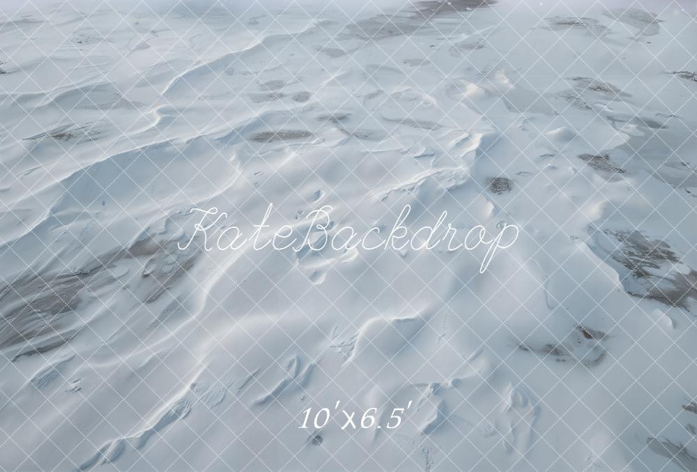 Kate Snowy Winter Light Blue Fleece Backdrop Designed by Chain