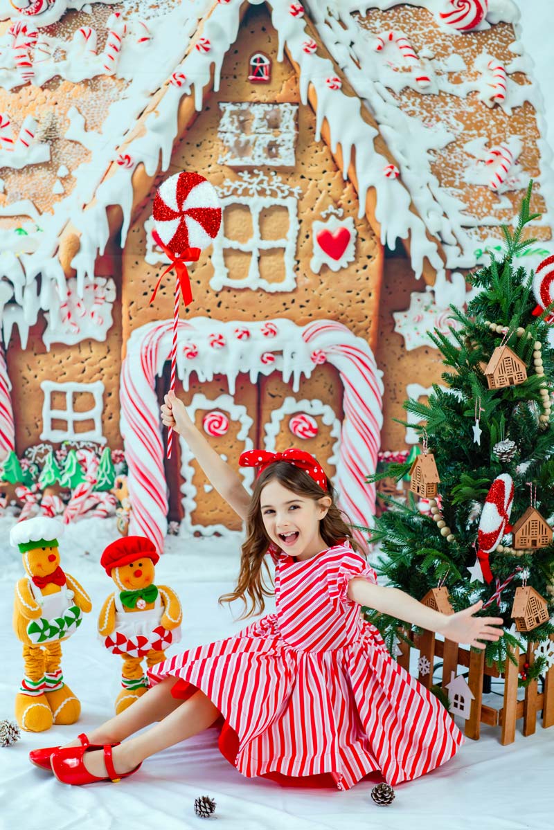 Kate Christmas Gingerbread House Backdrop Designed by Chain