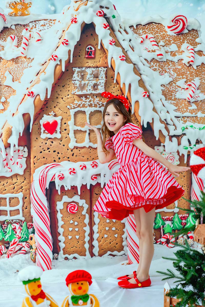 Kate Christmas Gingerbread House Backdrop Designed by Chain