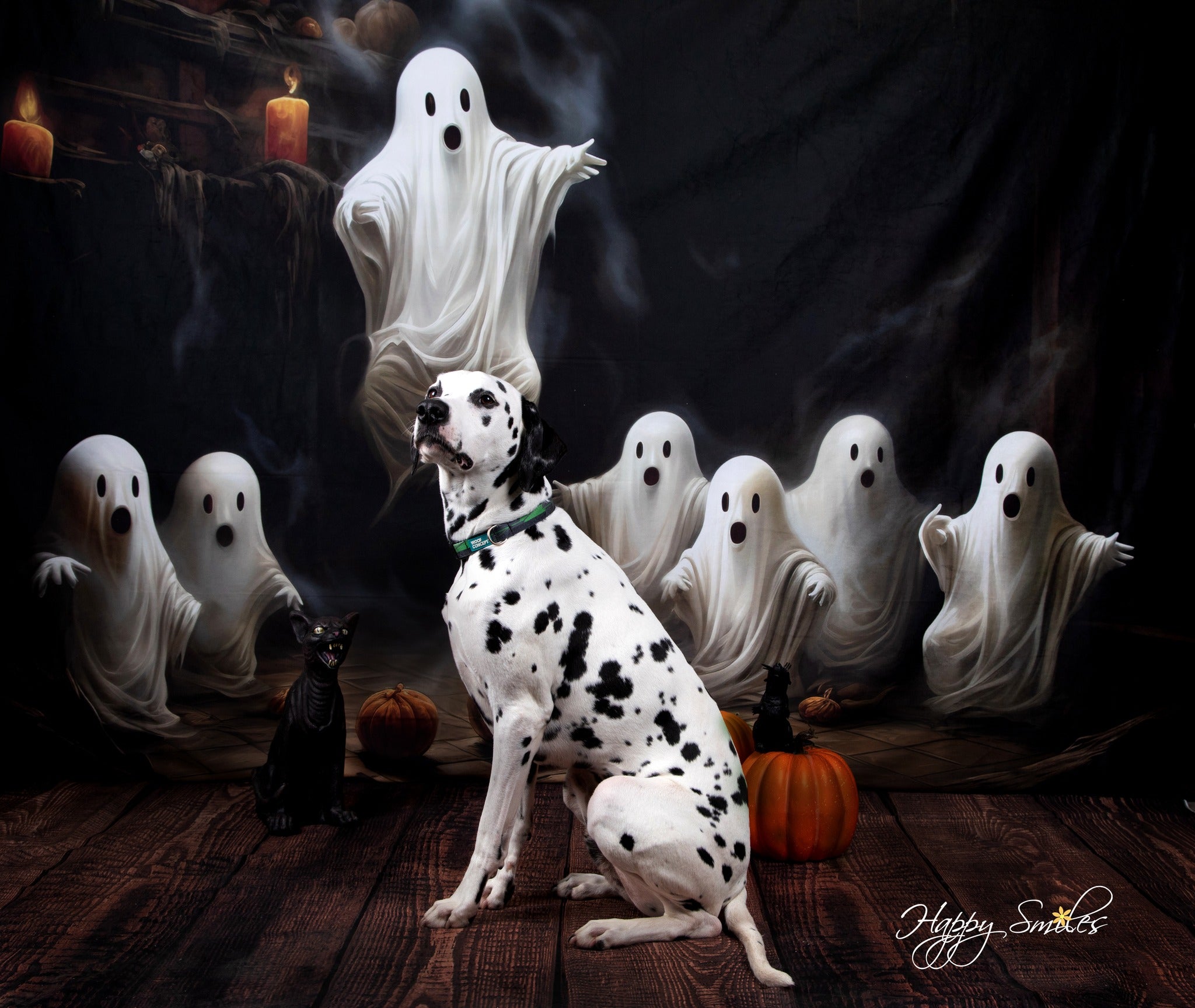 Kate Spooky Halloween Ghosts Backdrop Designed by Patty Robertss