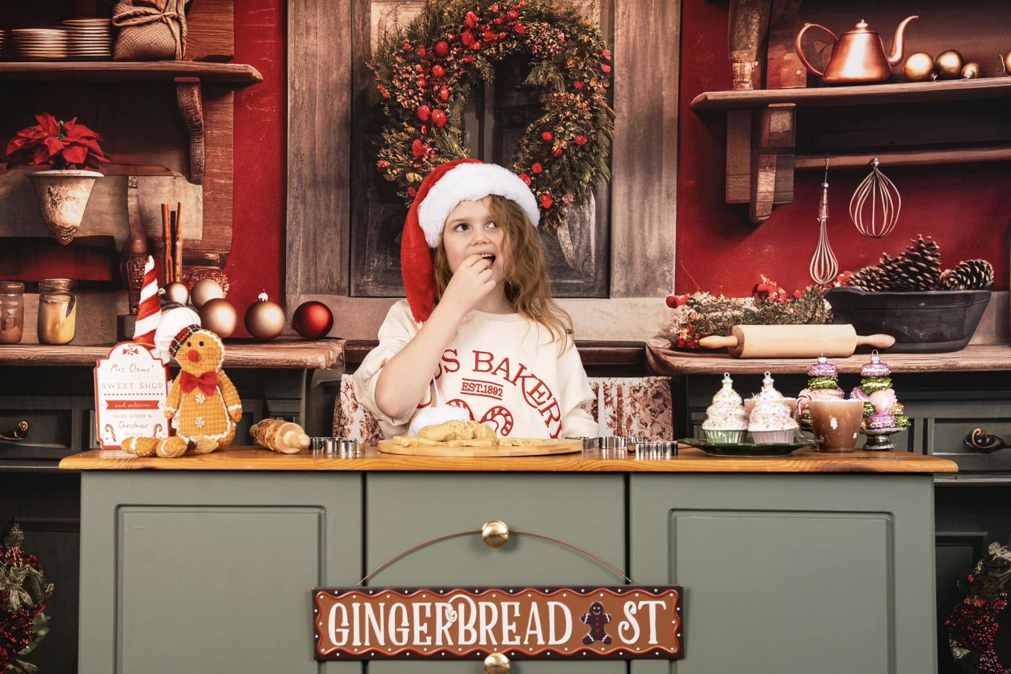 Kate Christmas Kitchen Fleece Backdrop