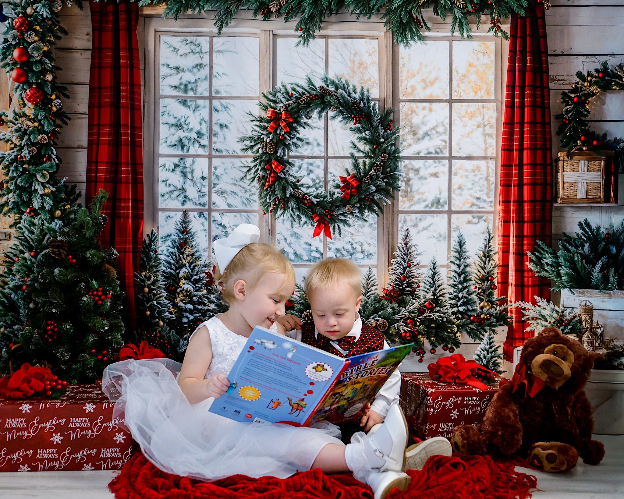 Kate Winter Christmas Decorate Window Backdrop Designed by Emetselch