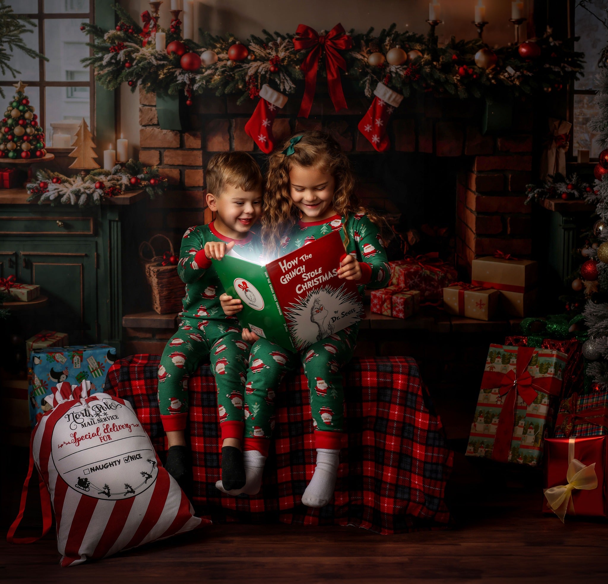 Kate Christmas Kitchen Fireplace Cabinets Backdrop Designed by Emetselch - Kate Backdrop AU