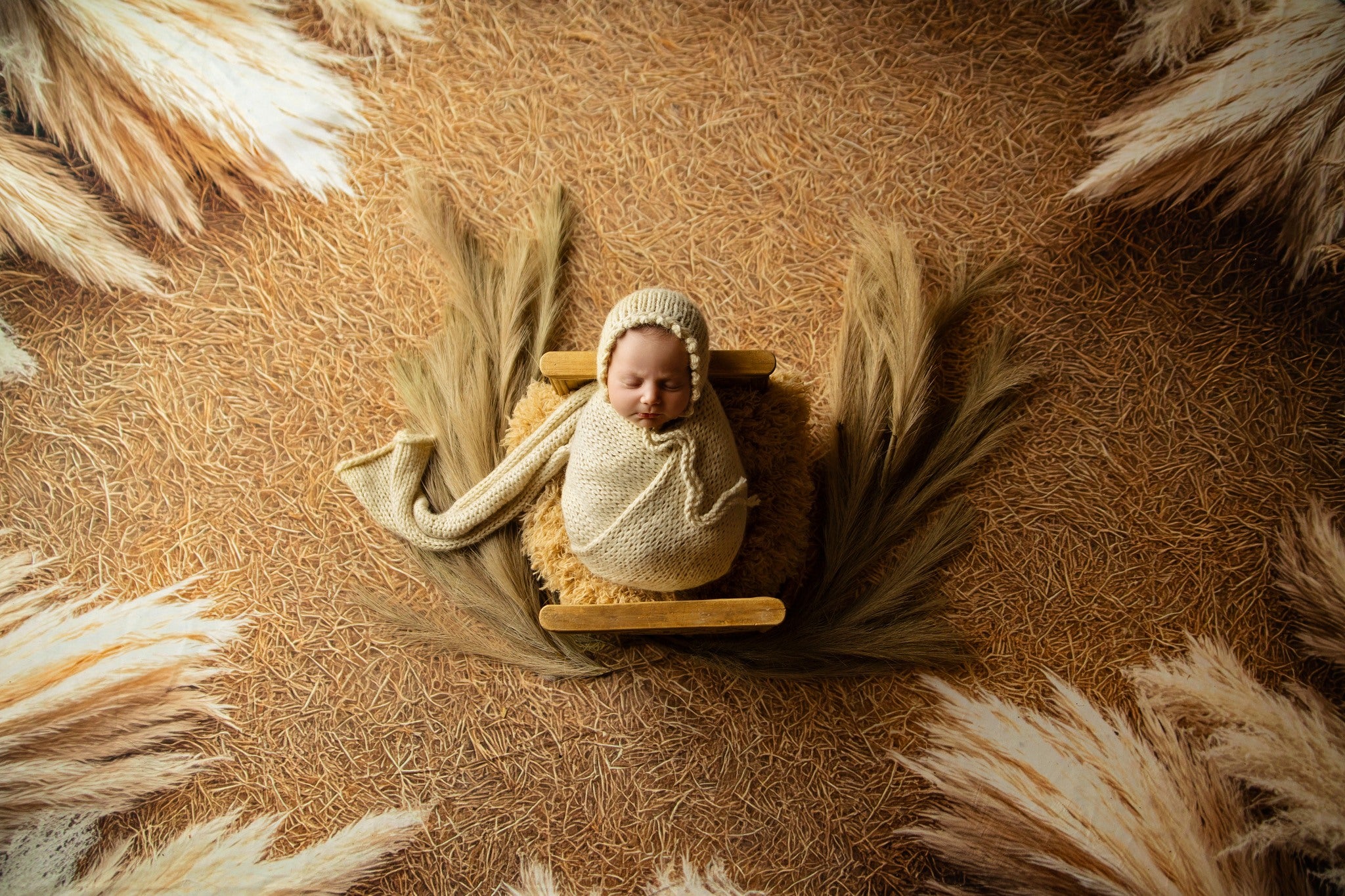 Kate Pampas Grass Floor Backdrop Designed by Mini MakeBelieve - Kate Backdrop AU