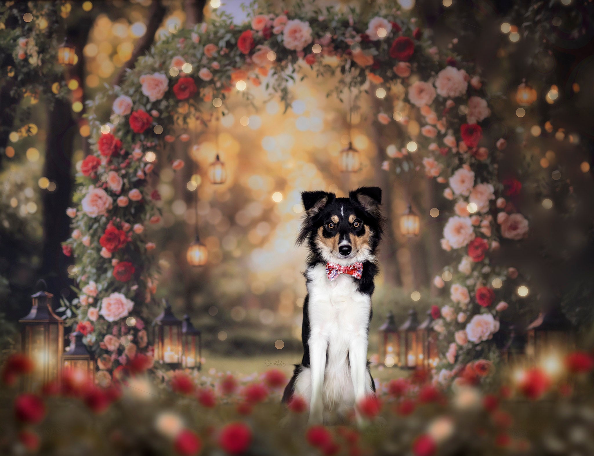 Kate Flower Arch Backdrop Valentine's Day Wedding Spring Designed by Emetselch - Kate Backdrop AU