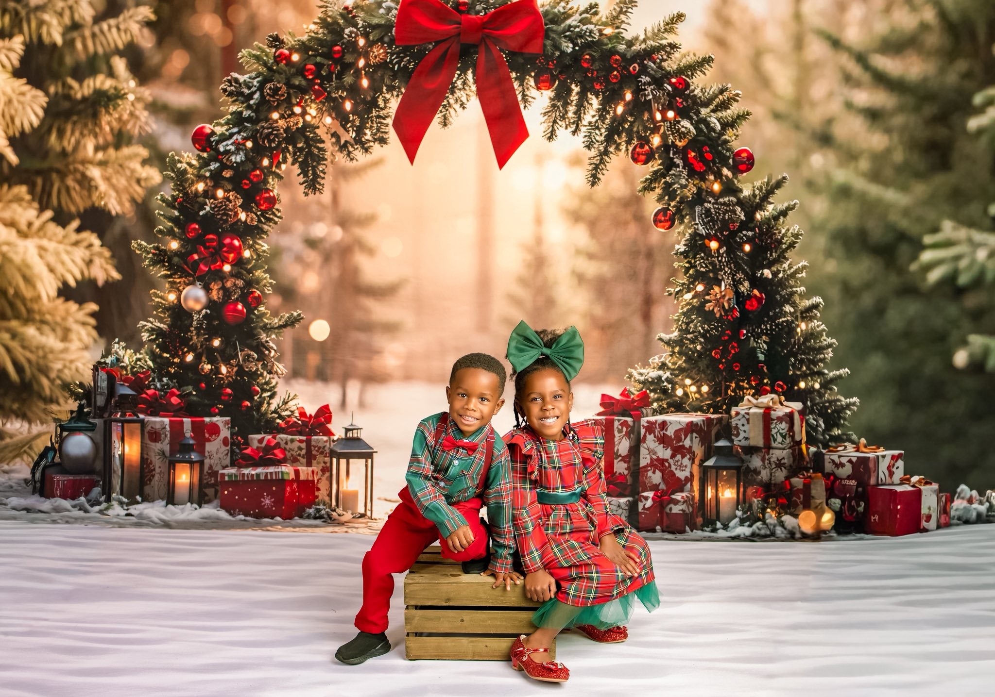 Kate Christmas Forest Snow Arch Backdrop Designed by Emetselch - Kate Backdrop AU