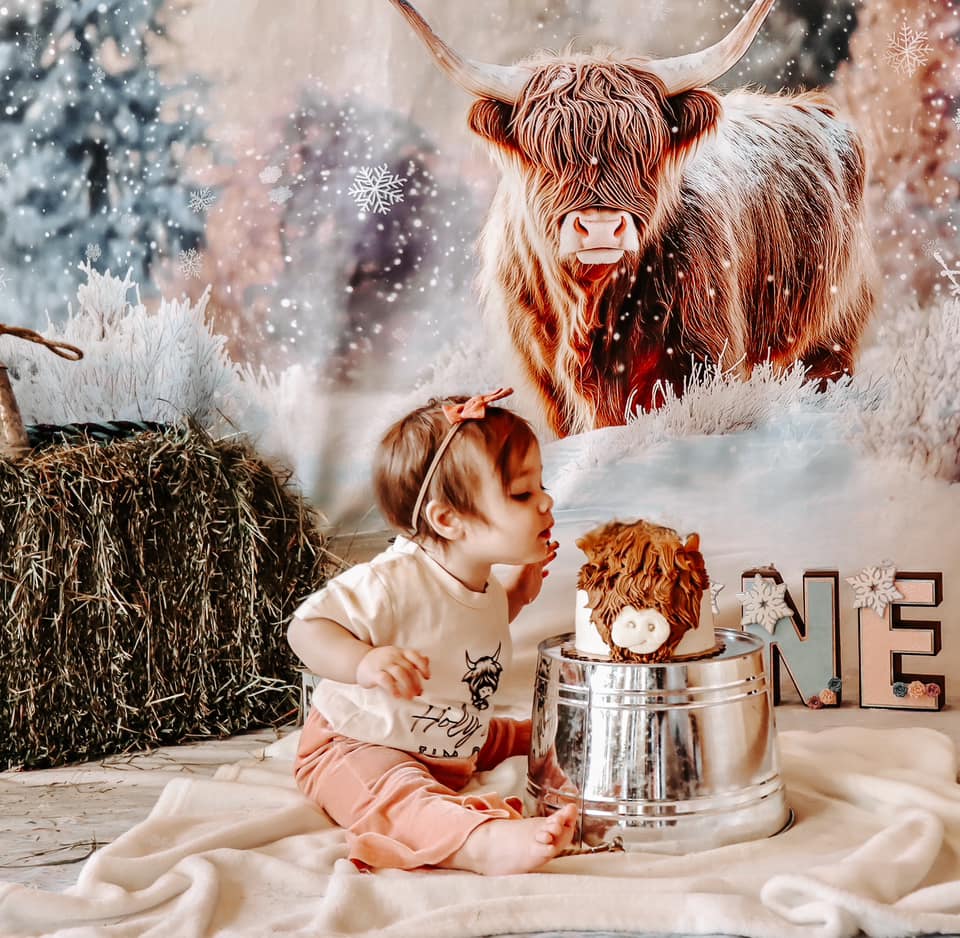 Kate Winter Highland Cow Backdrop Designed by Patty Robert