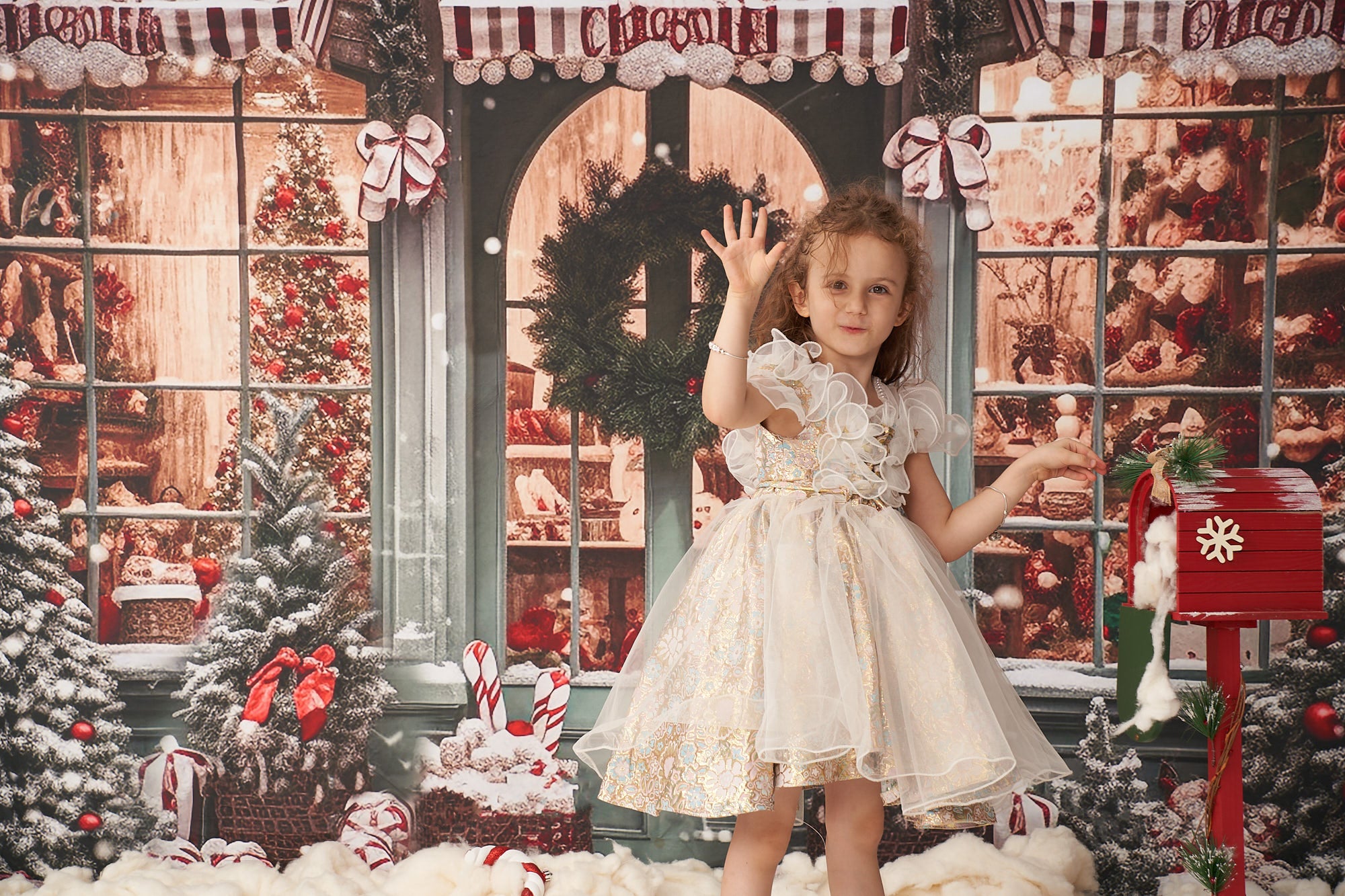 Kate Christmas Snow Cabin Backdrop for Photography