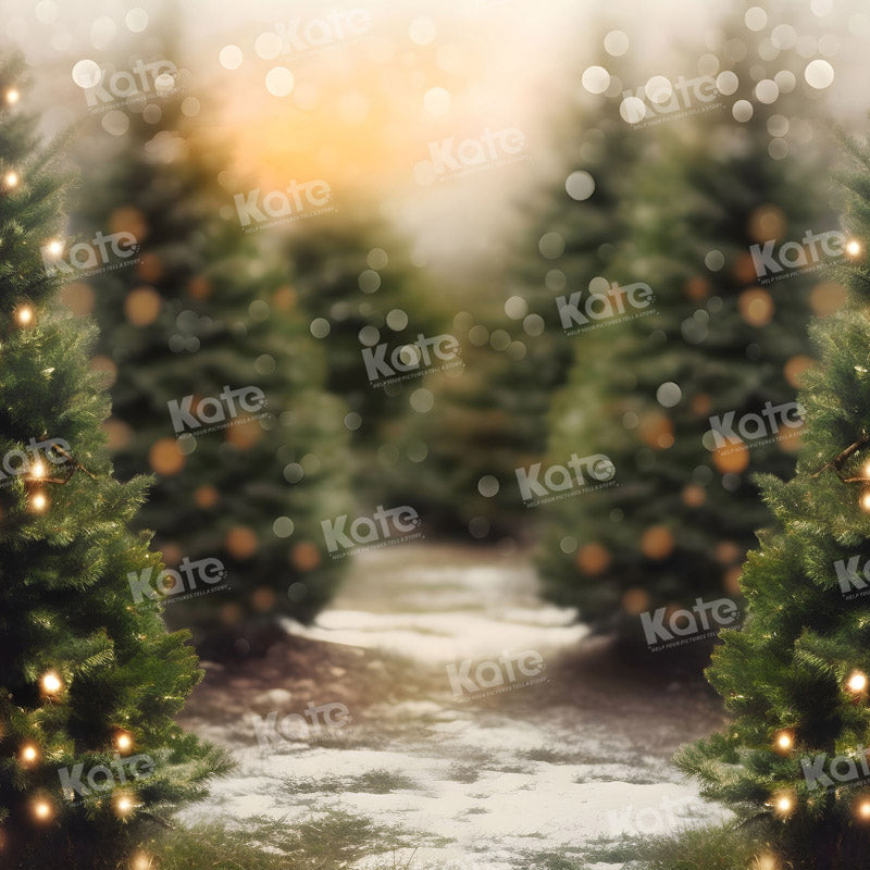 Kate Christmas Tree Forest Snowy Path Backdrop Designed by Emetselch - Kate Backdrop AU
