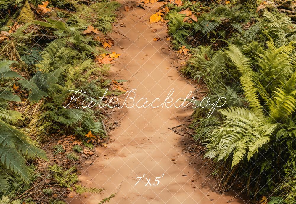 Kate Forest Ferns Dirt Path Backdrop Designed by Emetselch - Kate Backdrop AU