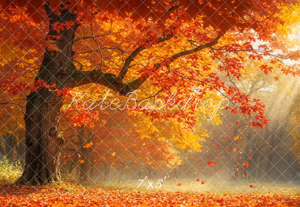 Kate Autumn Tree Leaves Sunlight Backdrop Designed by Emetselch