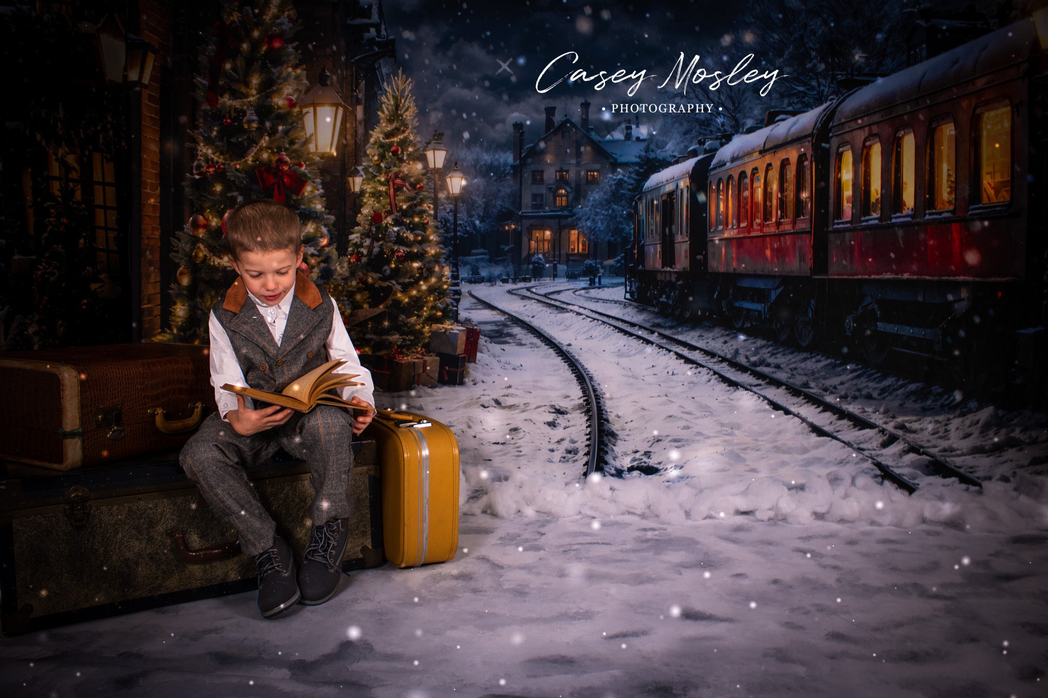 Kate Winter Christmas Tree Train Backdrop Designed by Emetselch - Kate Backdrop AU