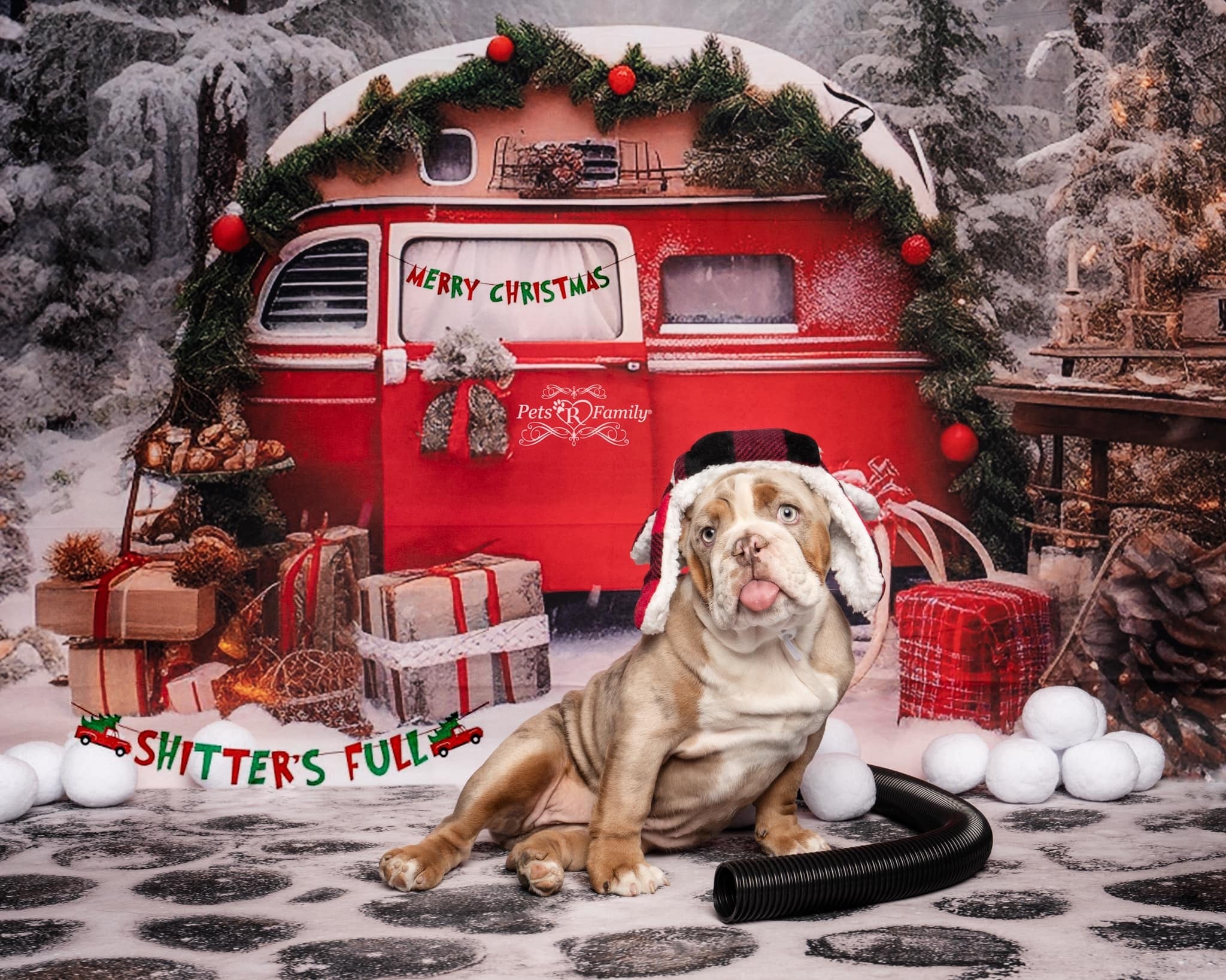 Kate Christmas Forest Snow Backdrop + Cobblestone Snow Floor Backdrop for Photography - Kate Backdrop AU