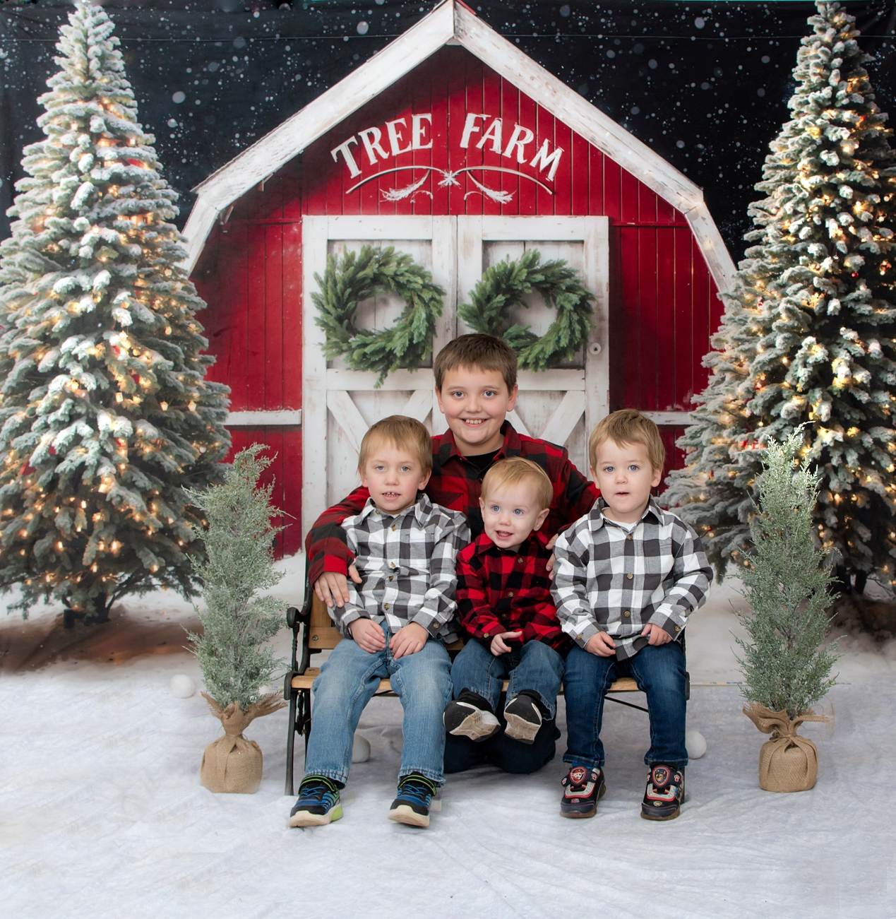 Kate Winter Christmas Tree Farm Backdrop Red Barn Designed by Chain Photography