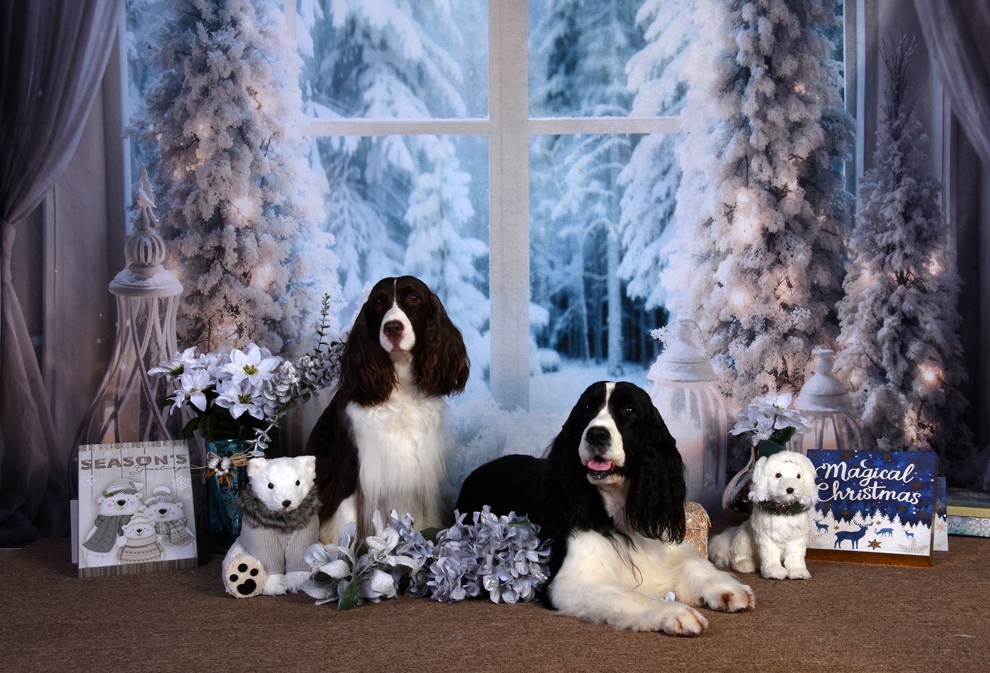 Kate Winter Christmas Tree Window Light Backdrop Designed by Emetselch - Kate Backdrop AU