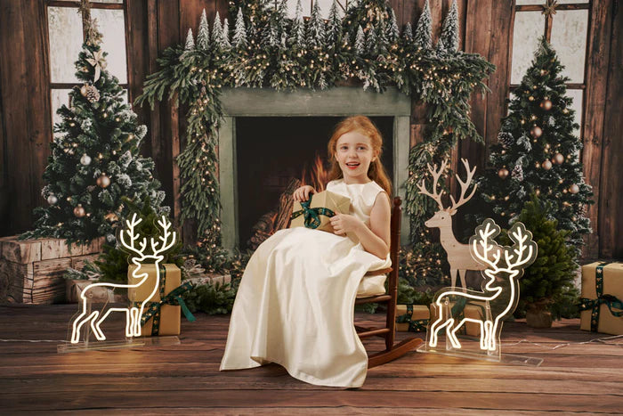 Kate Christmas Deer Neon Light Prop 16.93"L x 19.69"W for Photography