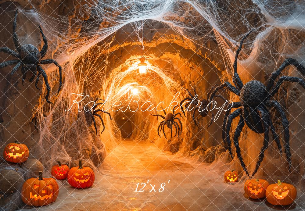 Kate Halloween Spiders Web Tunnel Fleece Backdrop Designed by Emetselch - Kate Backdrop AU