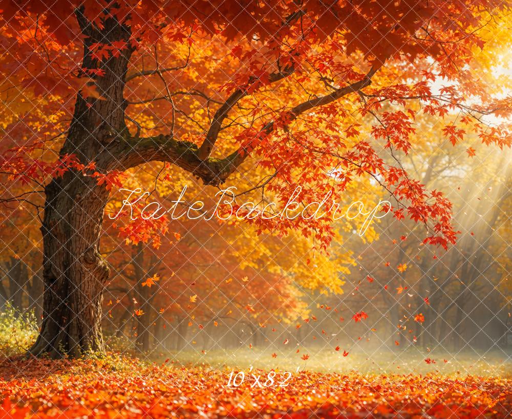 Kate Autumn Tree Leaves Sunlight Backdrop Designed by Emetselch