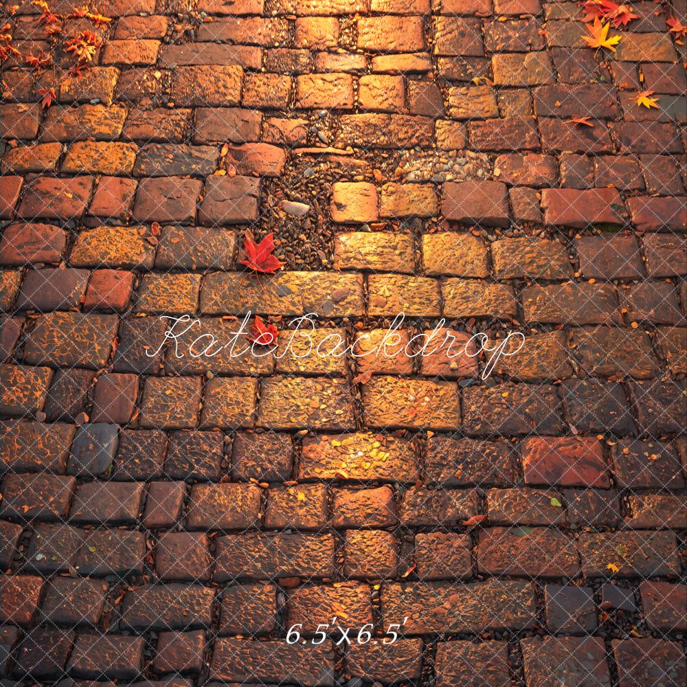 Kate Autumn Leaves Cobblestone Ground Backdrop Designed by Chain