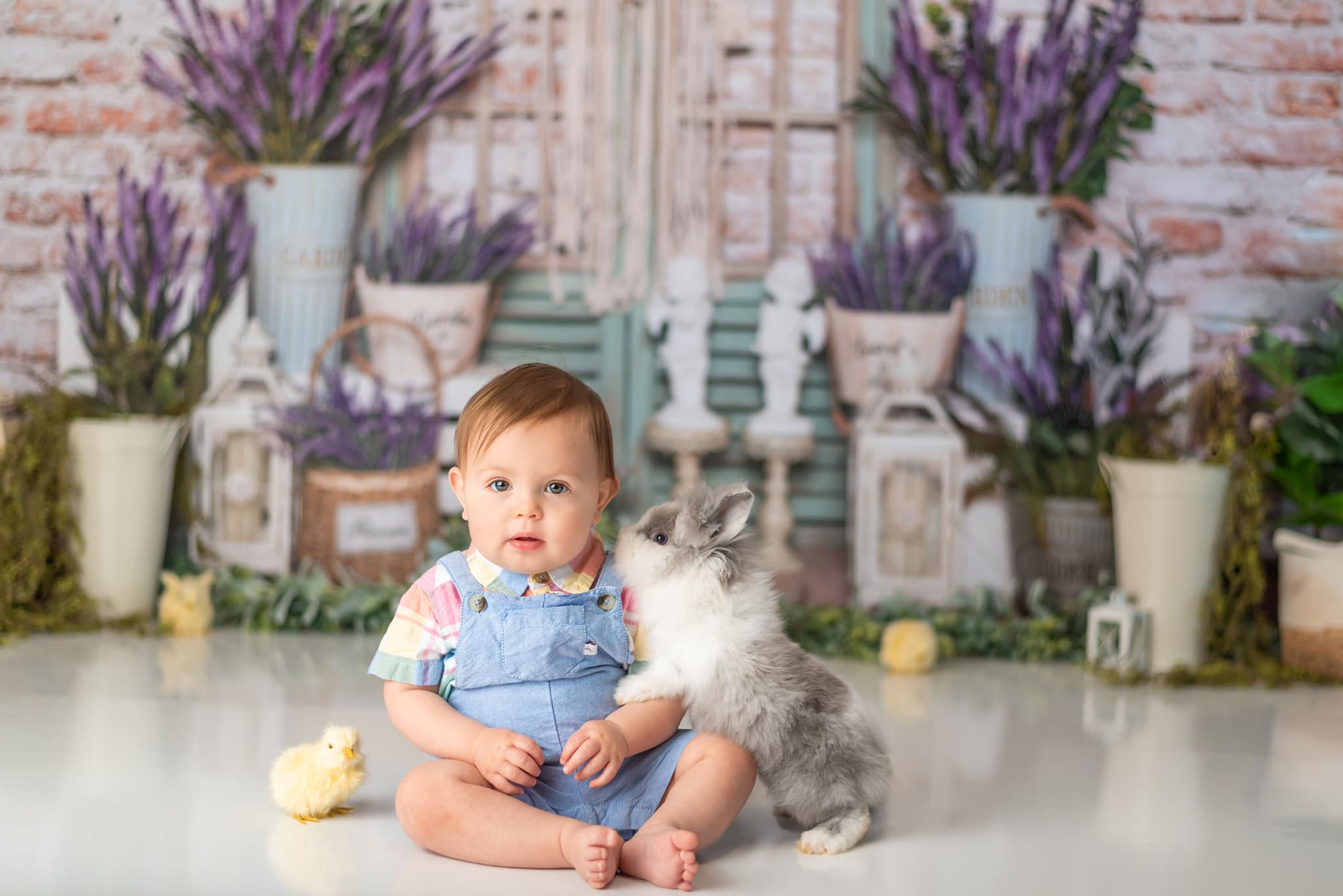 Kate Spring/mother's Day Lavender Boho Brick Backdrop Designed by Emetselch - Kate Backdrop AU