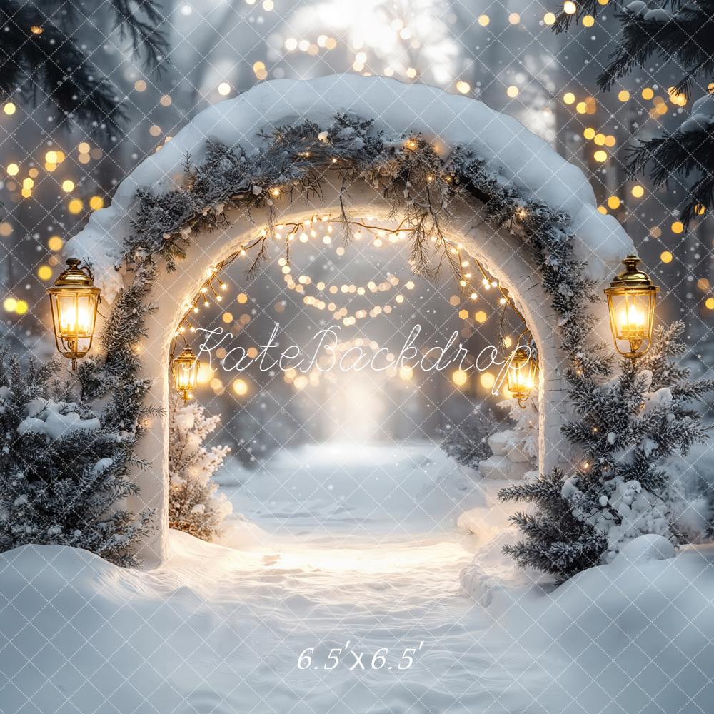 Kate Winter Arch Snow Lights Backdrop Designed by Emetselch - Kate Backdrop AU