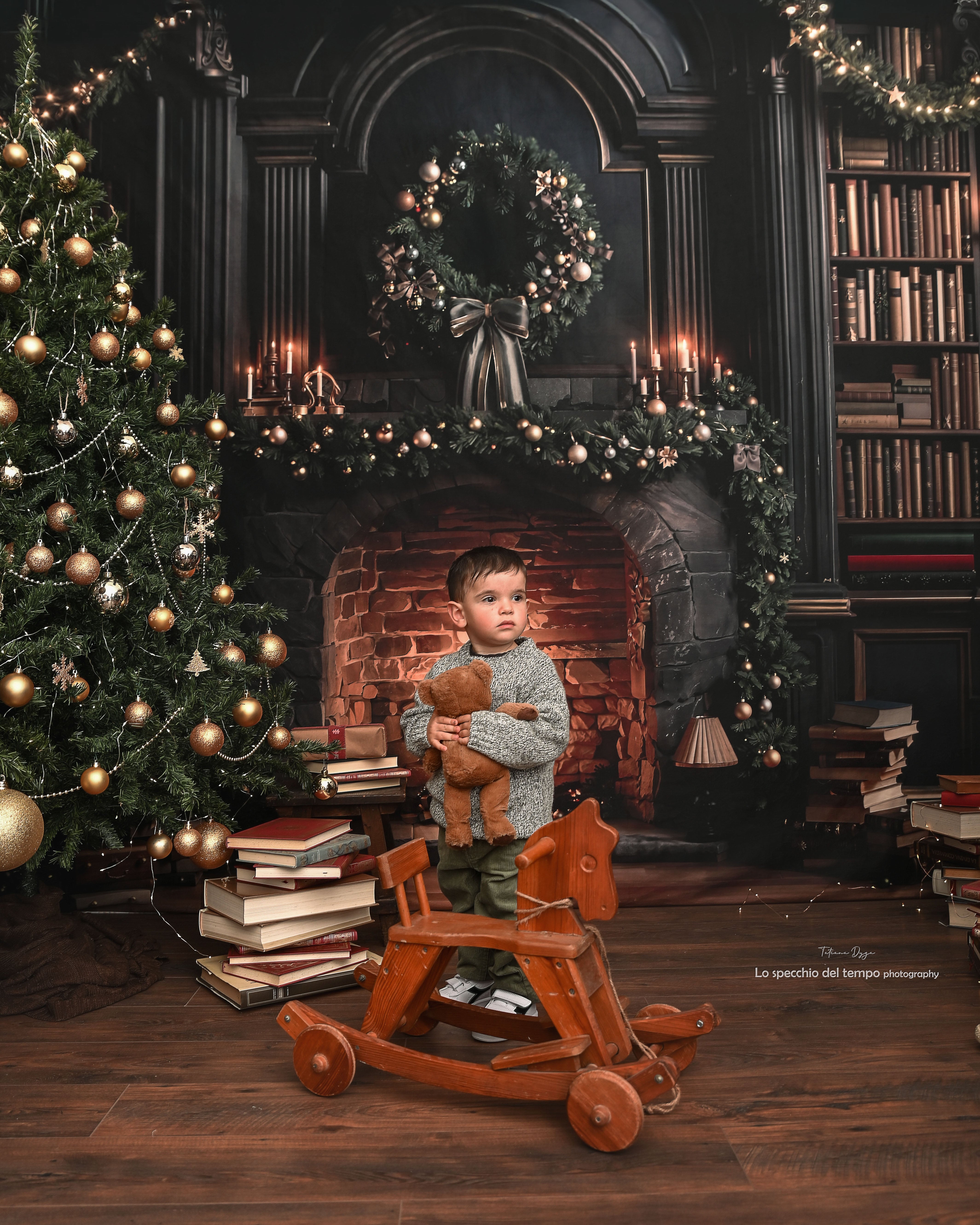 Kate Christmas Fireplace Bookshelves Backdrop Designed by Emetselch