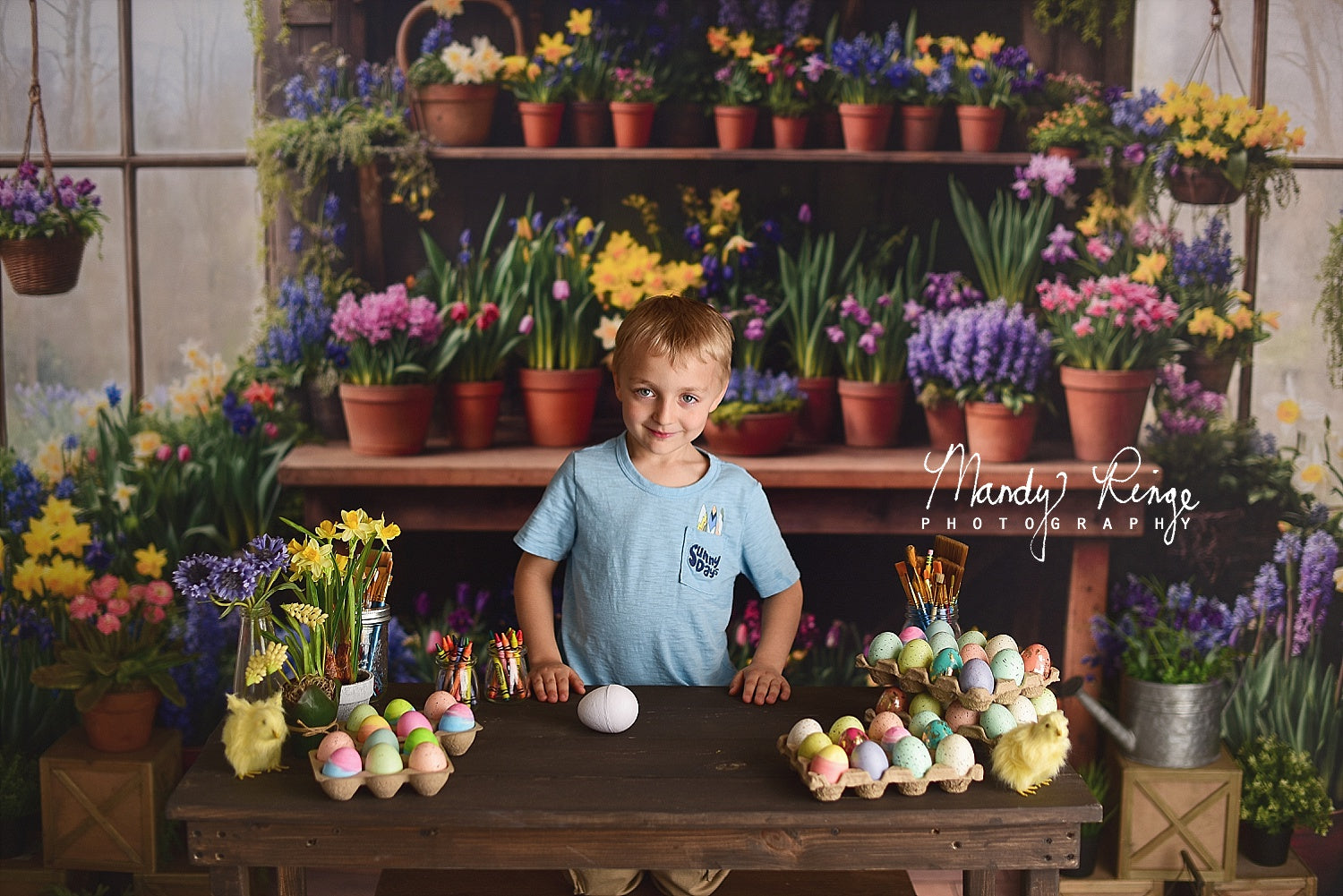 Kate Spring Flower Pots Backdrop Designed by Emetselch
