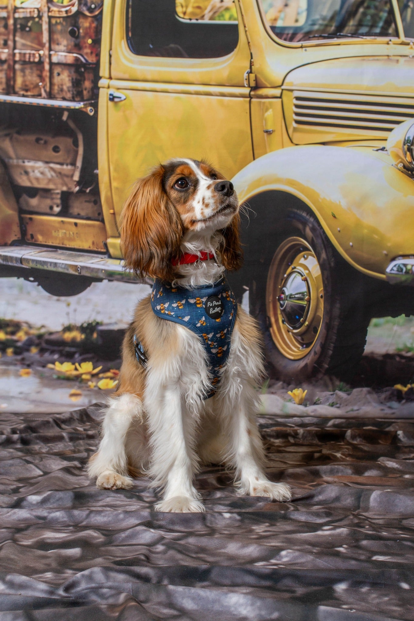 Kate Spring Yellow Truck Backdrop Designed by Emetselch - Kate Backdrop AU