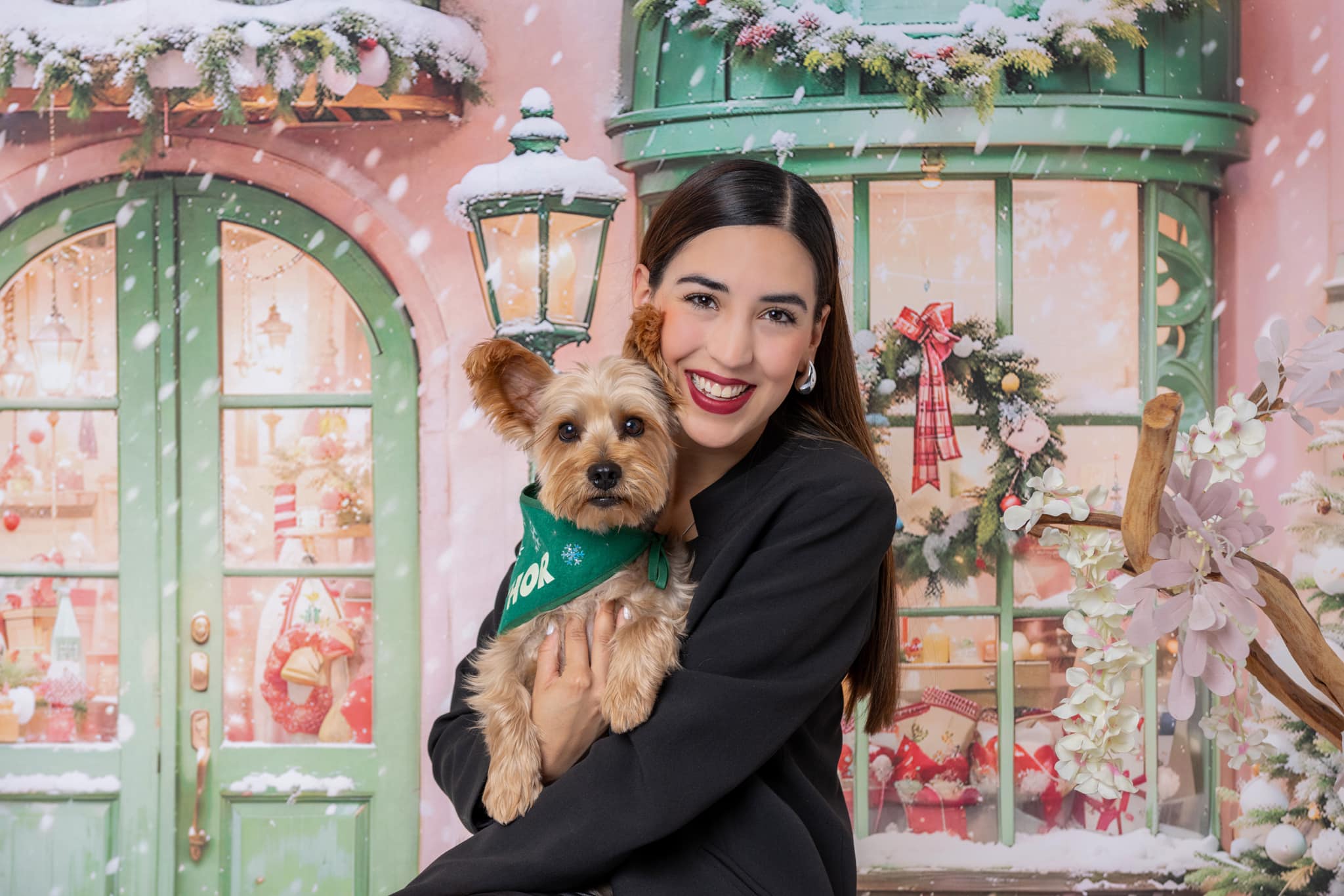Kate Snow Christmas Tree Holiday Shop Backdrop Designed by Chain Photography - Kate Backdrop AU