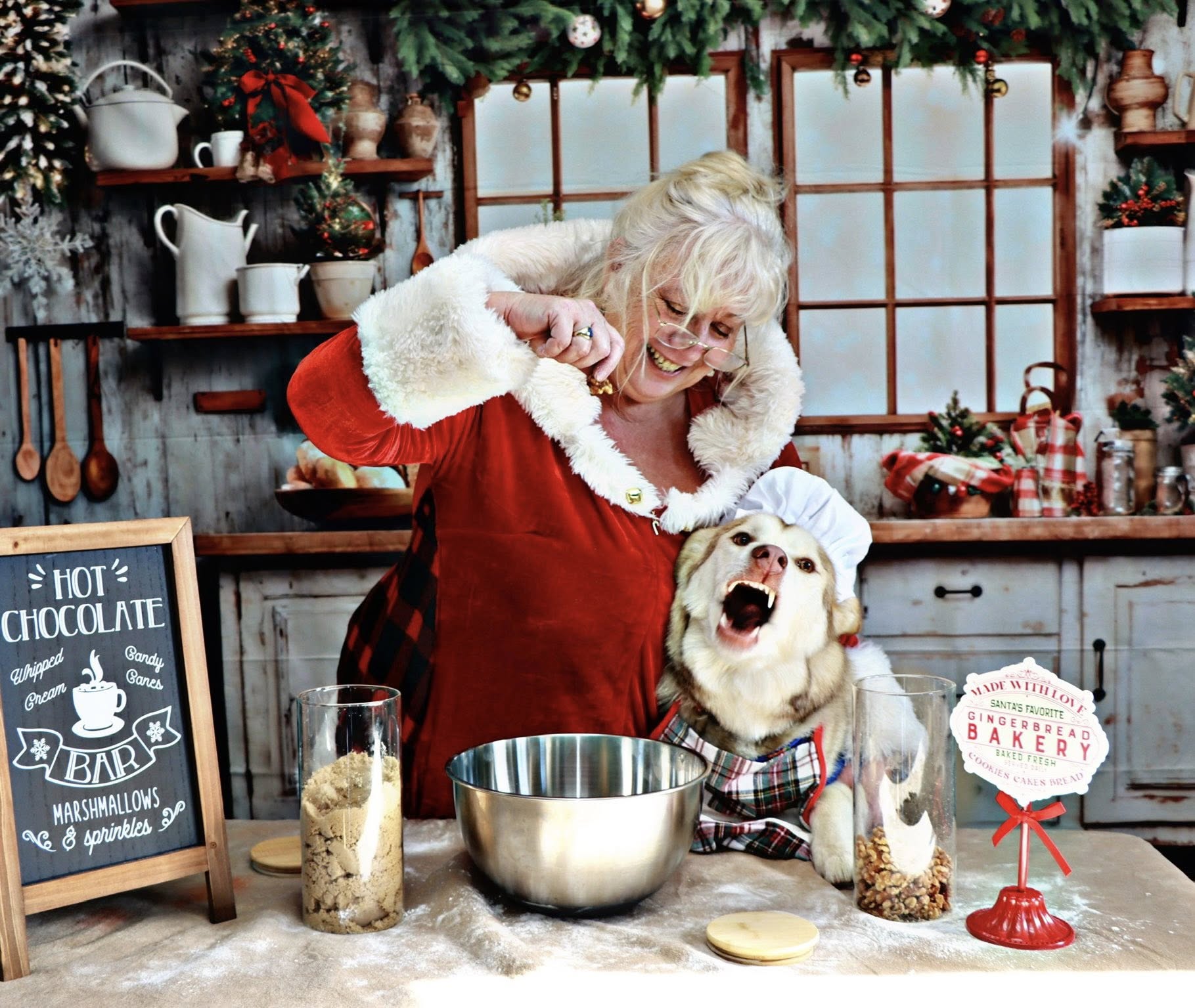 Kate Fleece Retro Christmas Kitchen Window Backdrop Designed by Emetselch - Kate Backdrop AU