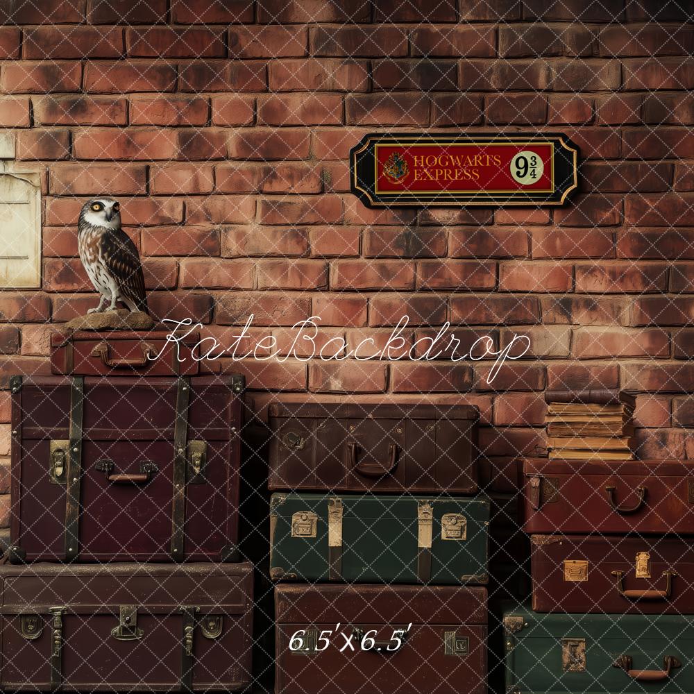 Kate Platform Luggage Owl Brick Wall Backdrop Designed by Patty Roberts - Kate Backdrop AU