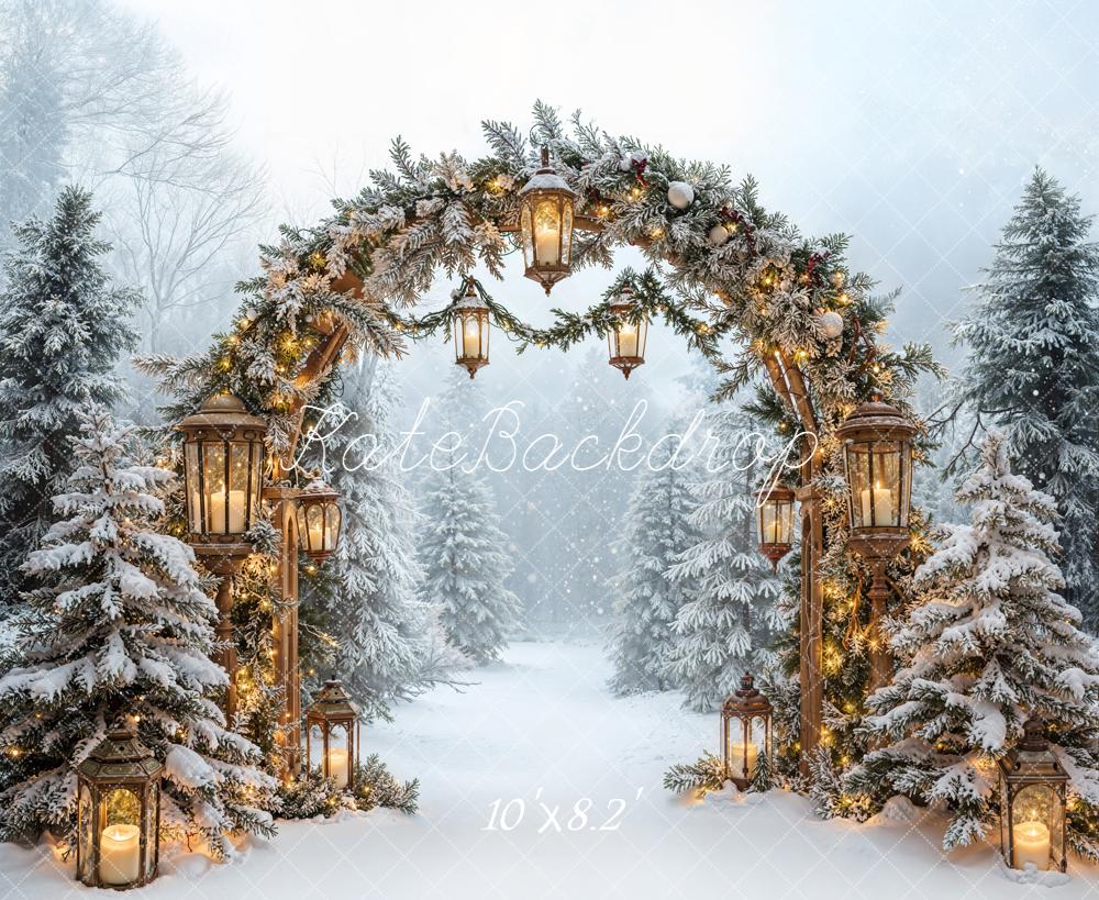 Kate Christmas Snowy Arch Backdrop Designed by Emetselch