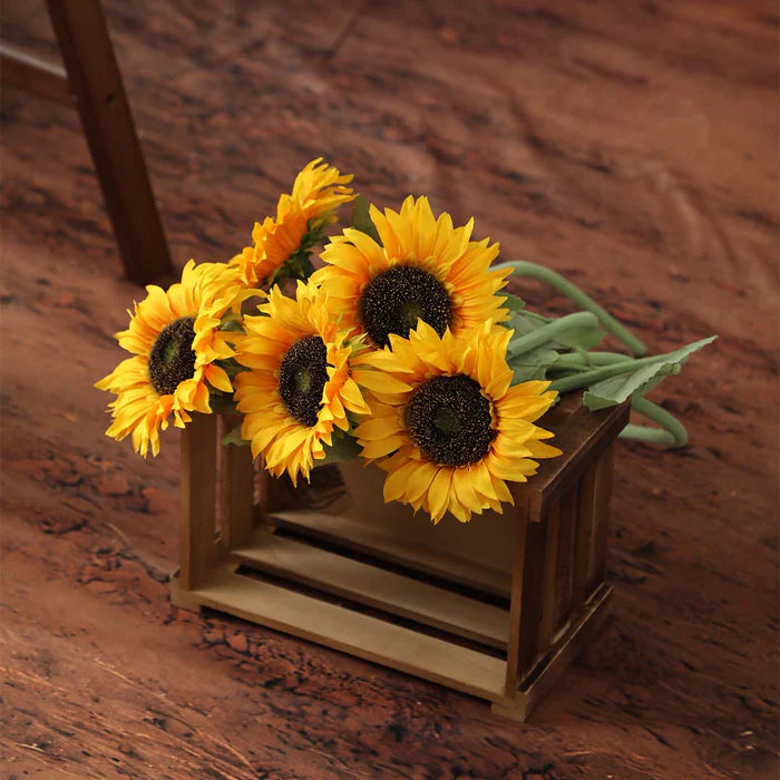 Kate Summer Sunflower Photo Kit
