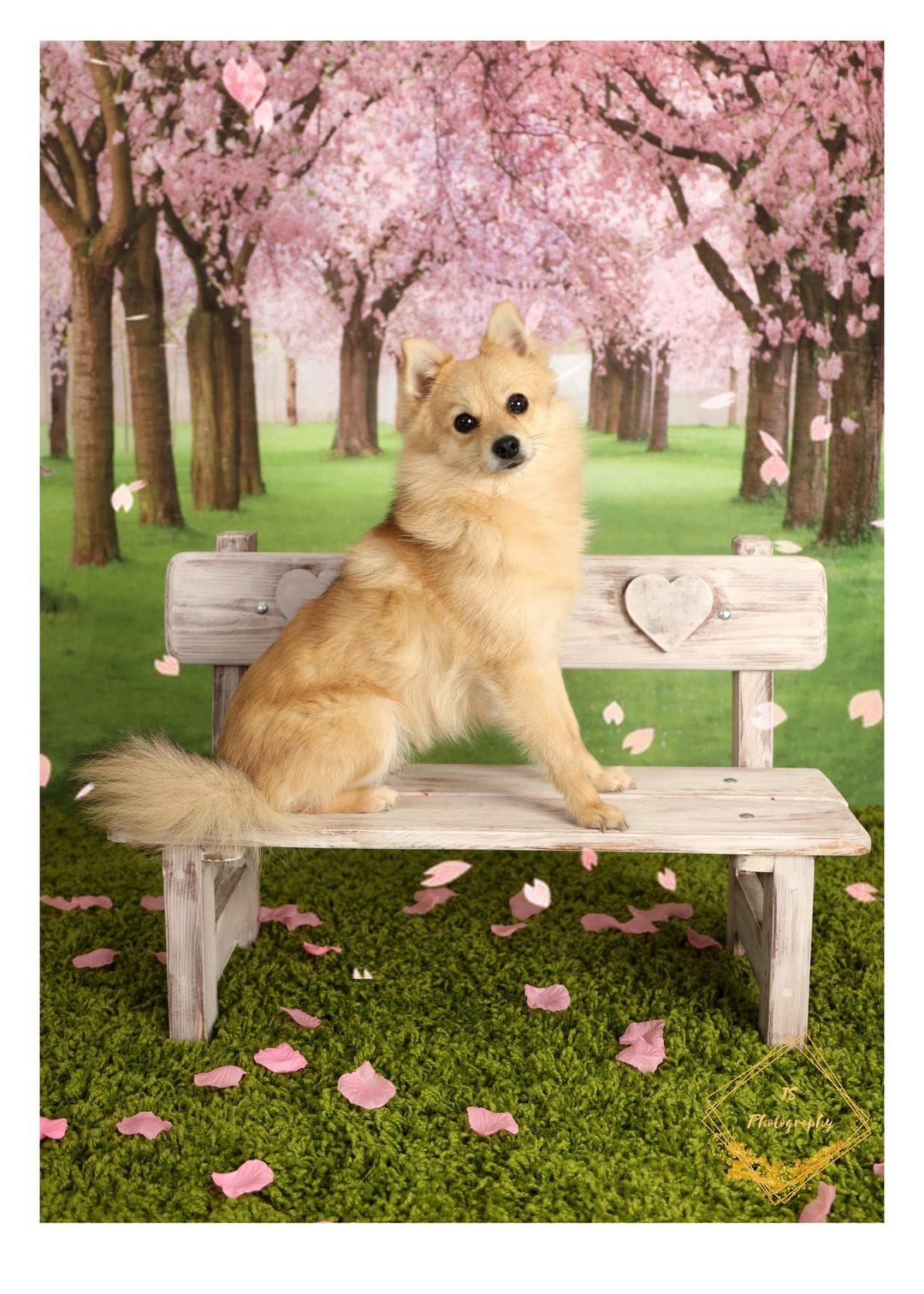 Kate Spring Flower Tree Grassland Backdrop+Kate Green Grassland Easter Wood Rubber Floor Mat - Kate Backdrop AU