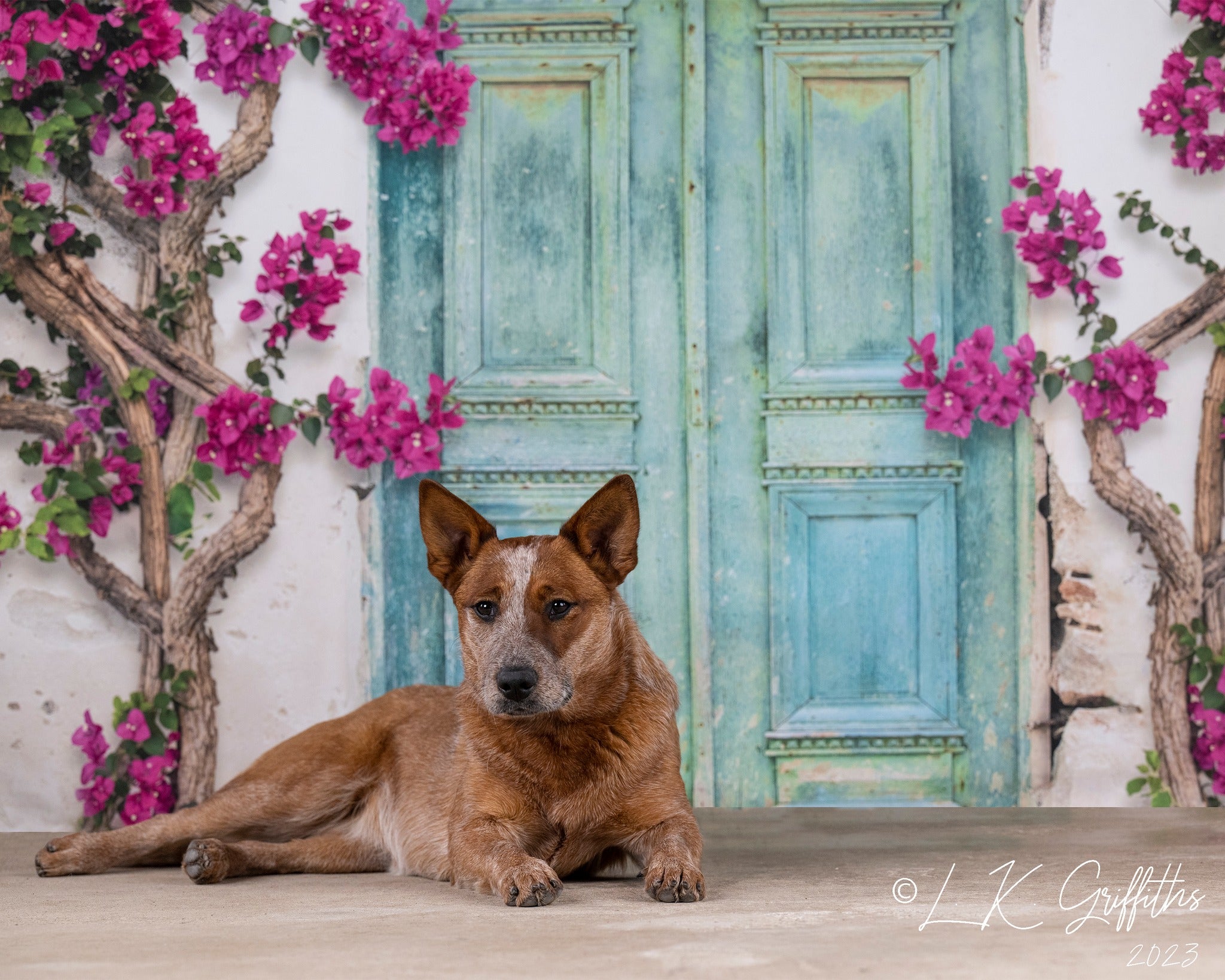 Kate Spring Flowers Door Backdrop Designed by Chain Photography