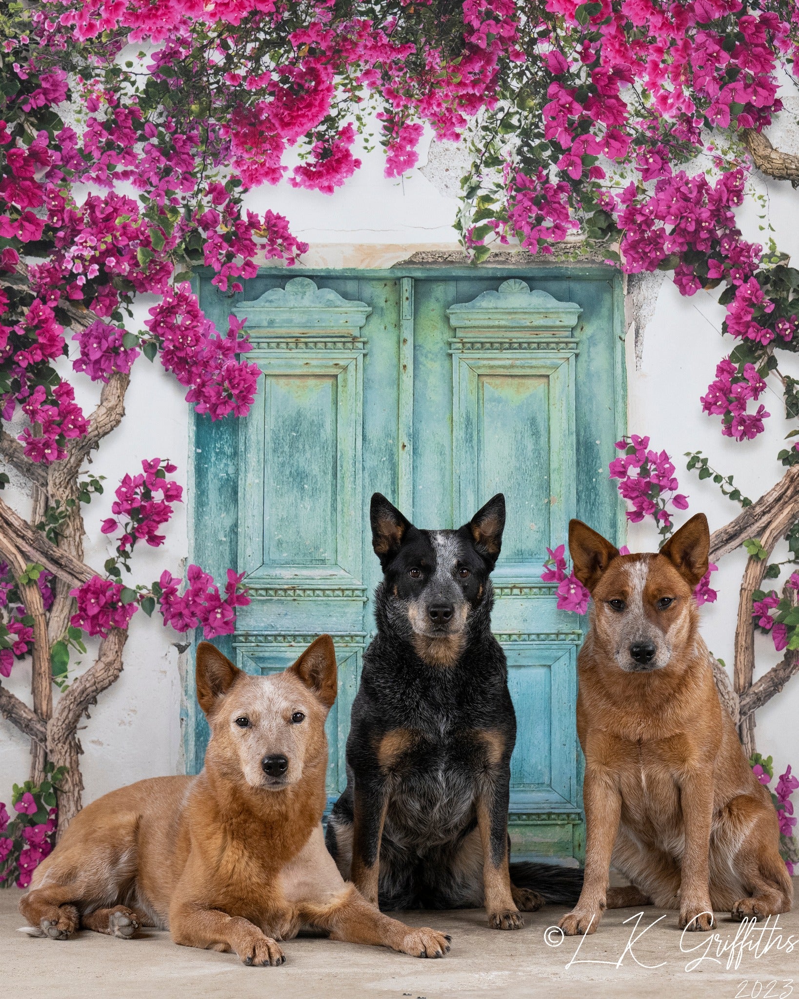 Kate Spring Flowers Door Backdrop Designed by Chain Photography