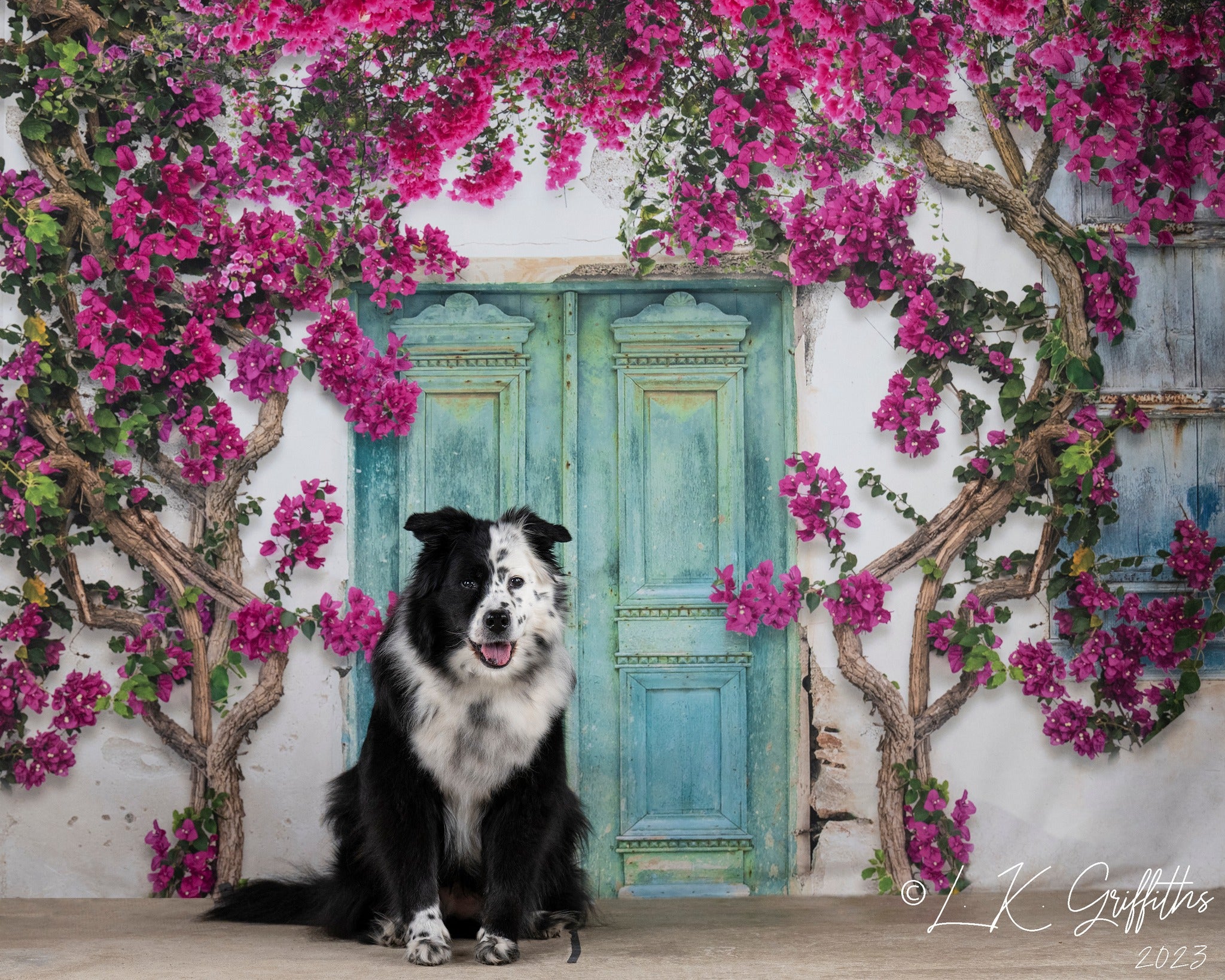 Kate Spring Flowers Door Backdrop Designed by Chain Photography