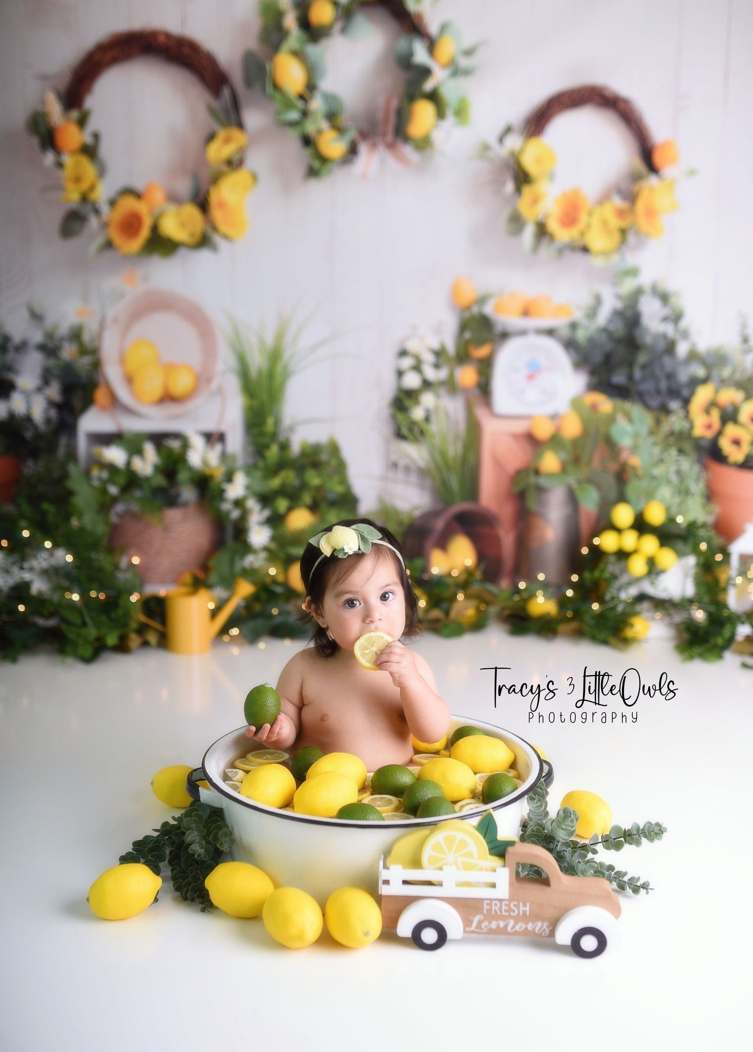 Kate Spring/Summer Lemon Garland Backdrop for Photography - Kate Backdrop AU