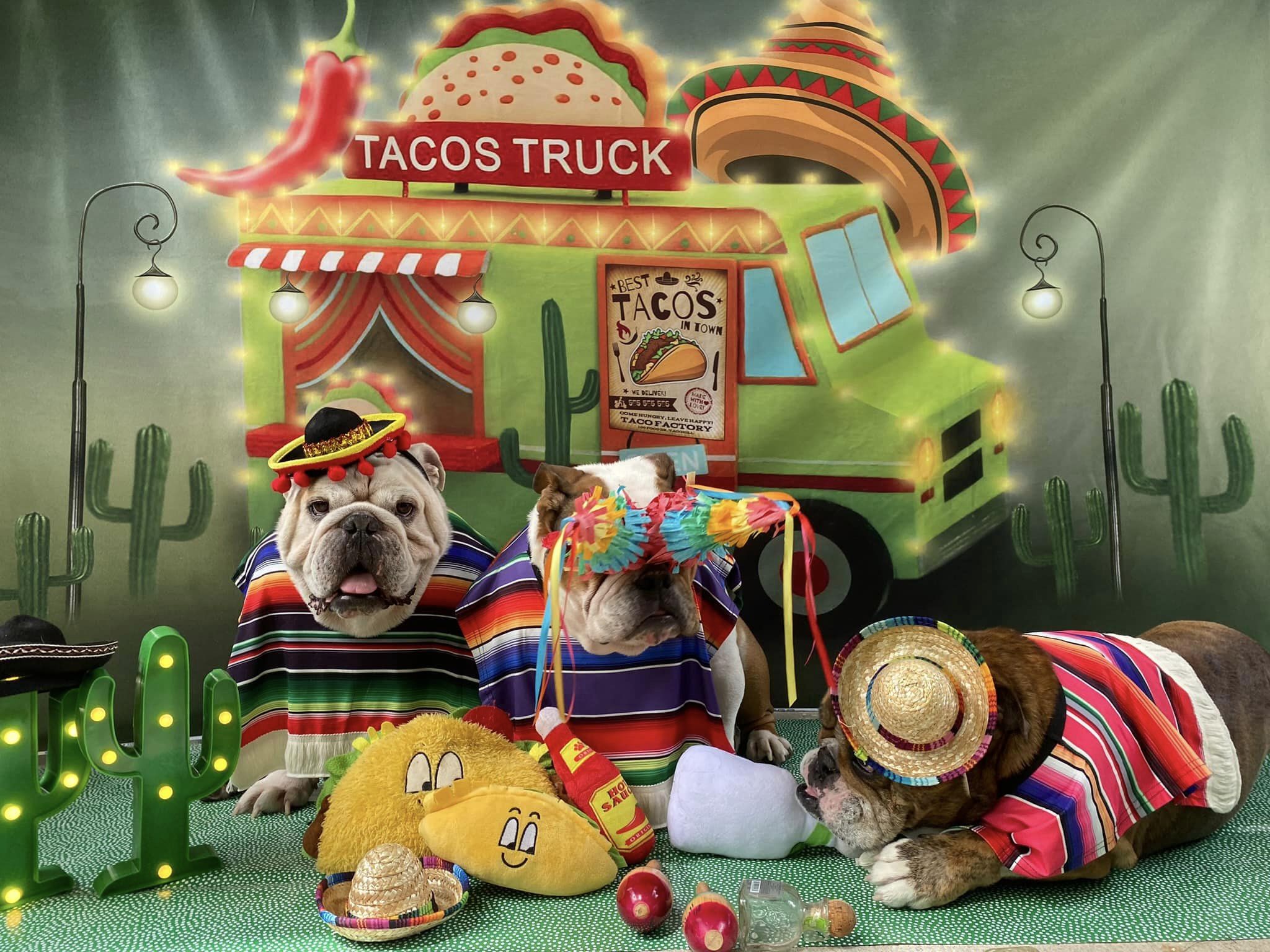 Kate Cake Smash Tacos Truck Chef Backdrop Designed by Rosabell Photography - Kate Backdrop AU
