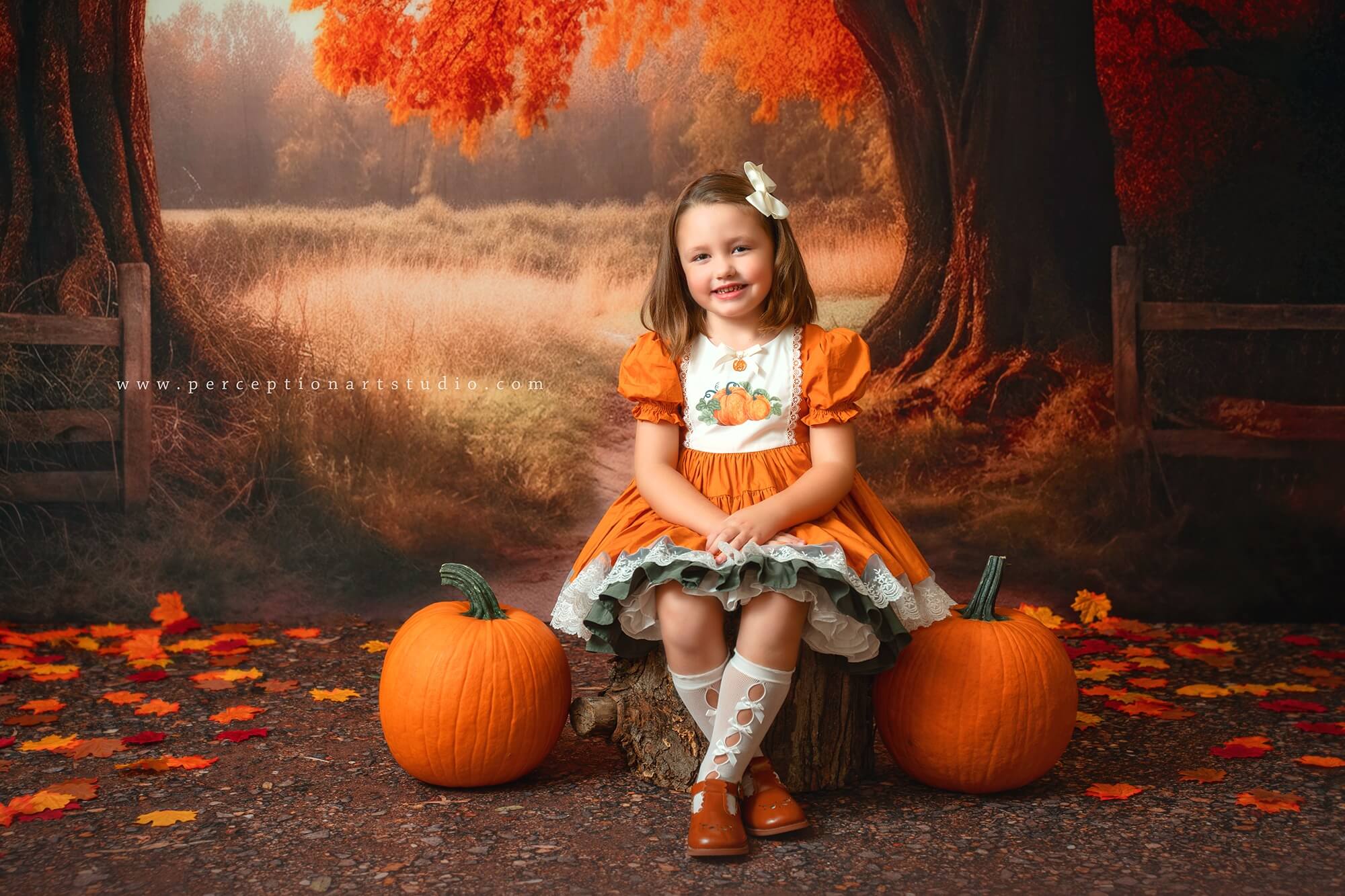 Kate Autumn/Fall Tree Backdrop for Photography