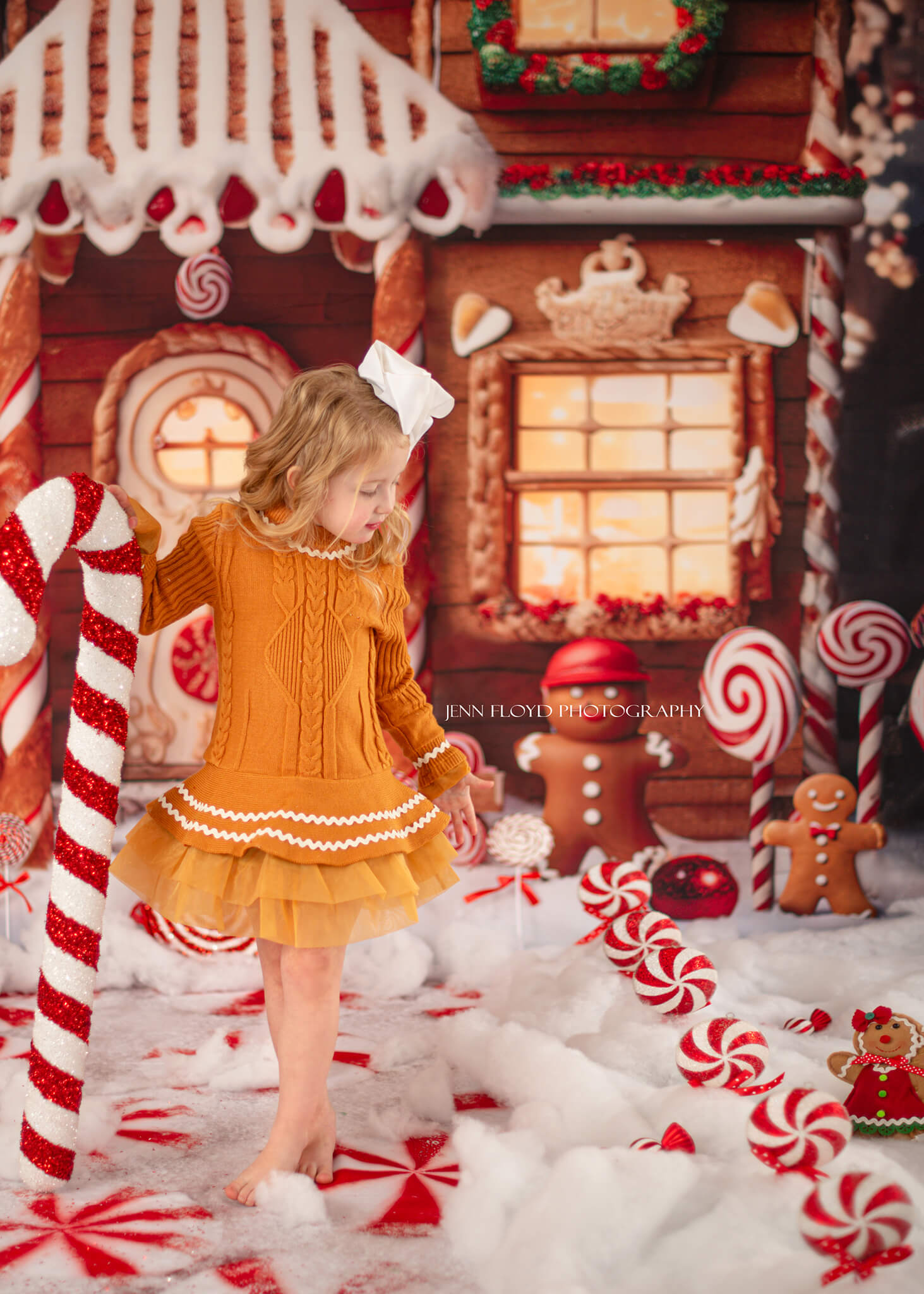 Kate Christmas Gingerbread House Backdrop Designed by Chain Photography