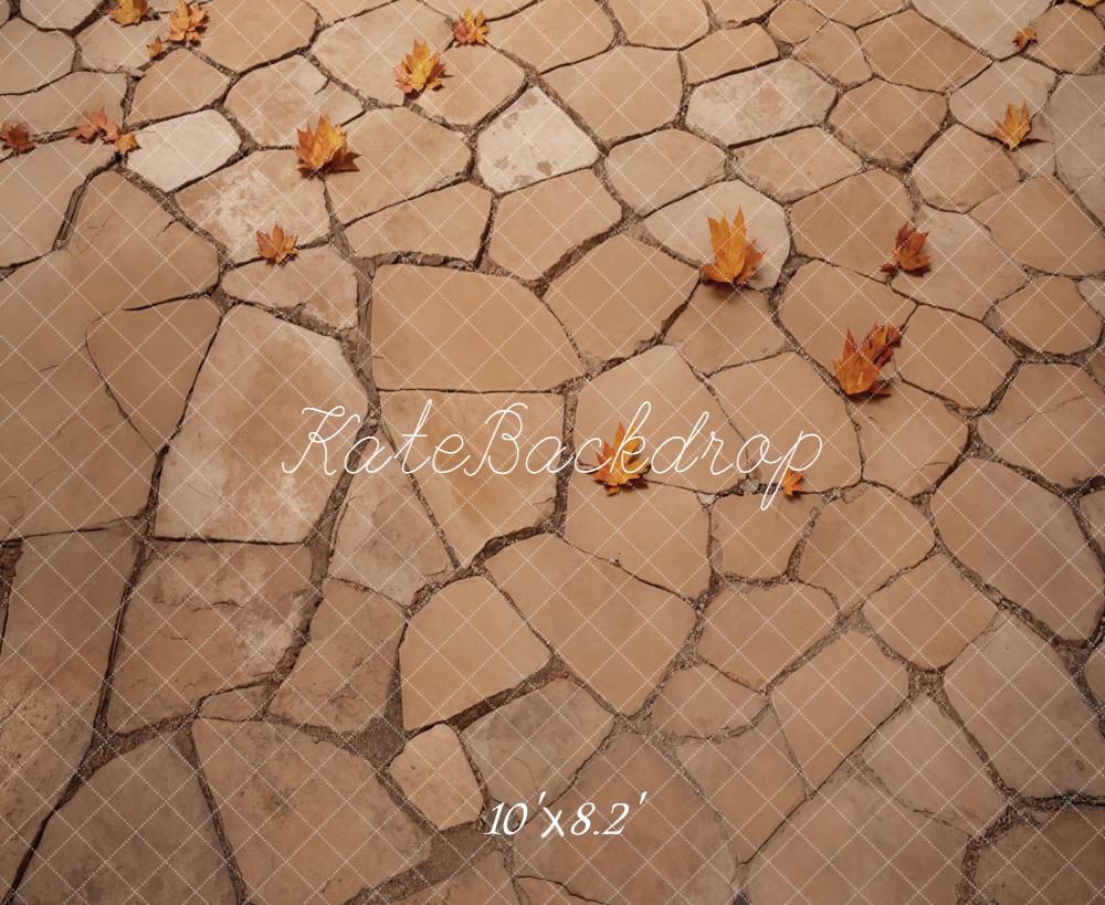 Kate Autumn Leaves Stone Fleece Backdrop Designed by Kate Image