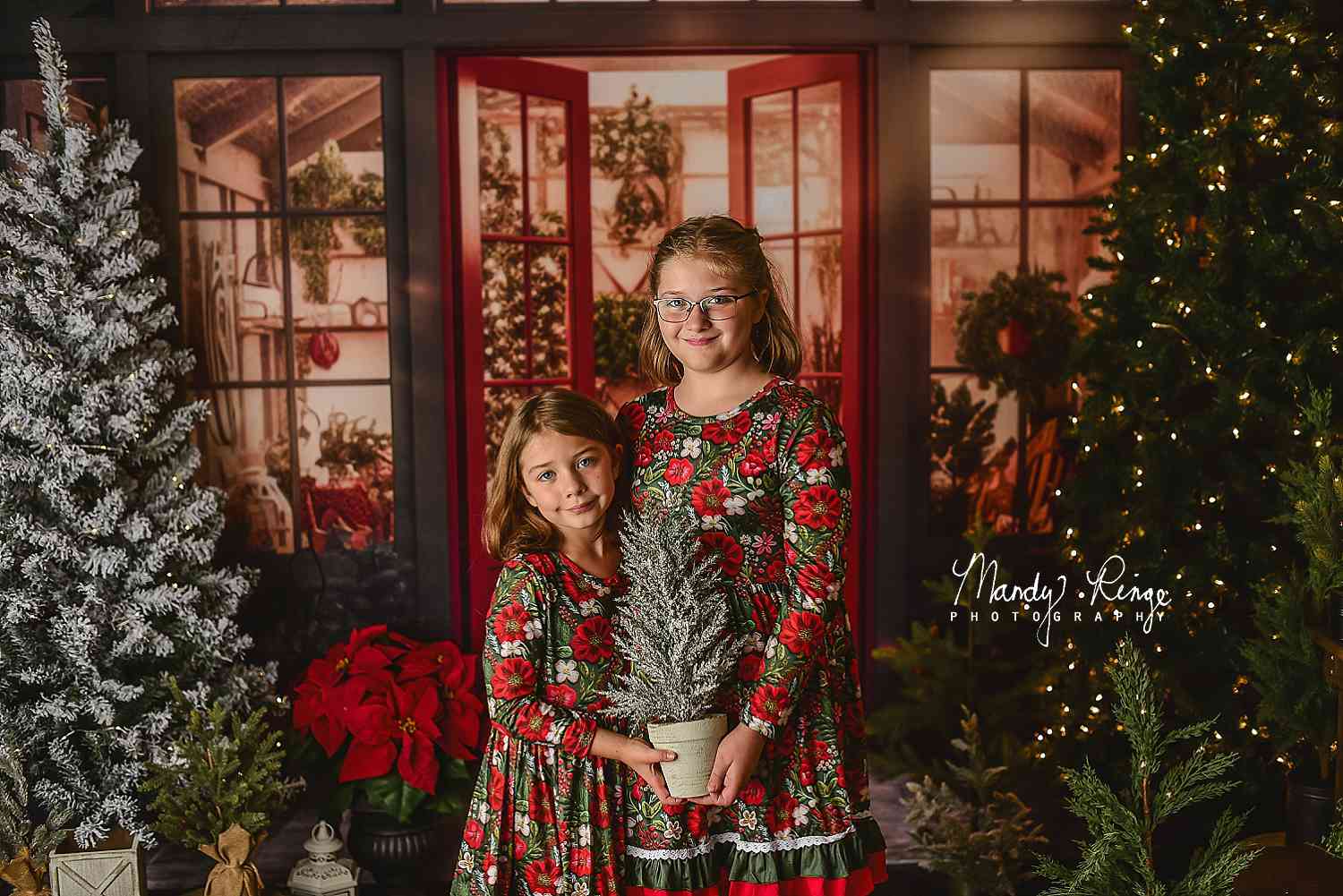 Kate Christmas Holiday Greenhouse Red Backdrop Designed by Mandy Ringe Photography - Kate Backdrop AU