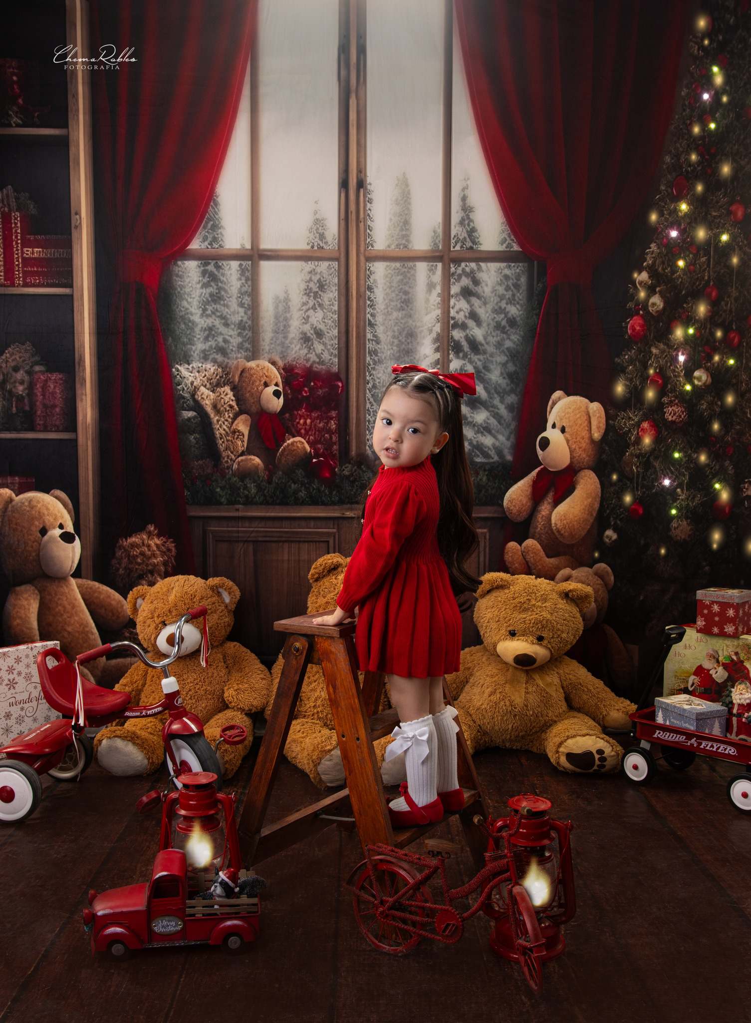 Kate Bear Room Winter Backdrop Designed by Chain Photography - Kate Backdrop AU